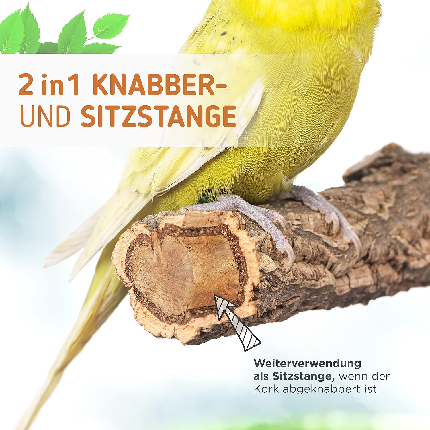 Detalle de Vogelgaleria Leckere Korksitzstange – Naturkork-Sitzstange für Wellensittich & Nymphensittich (20 cm)