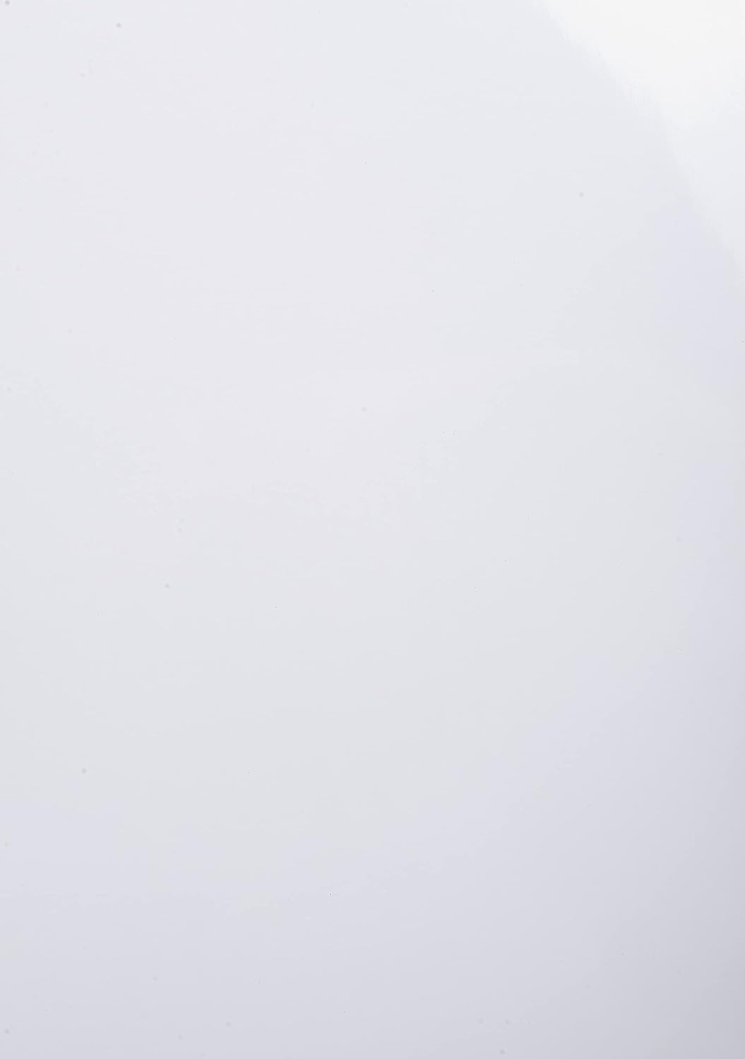 Detalle de Exacompta 2980C – Paquet de 100 plats en carte A4, 230 g/m², effet miroir, 1 face brillante et 1 face mate, blanc