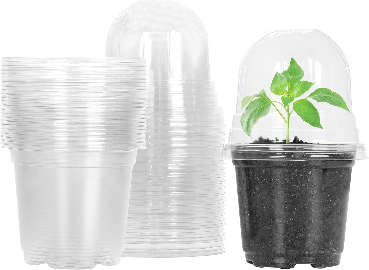 Detalle de MIXC Nursery Pots, 4-inch