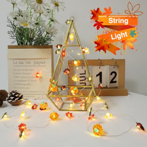 Thumbnail 8 de Liyade Guirlande lumineuse d'automne, 2,2 m - 20 LED 3D, minuterie et piles