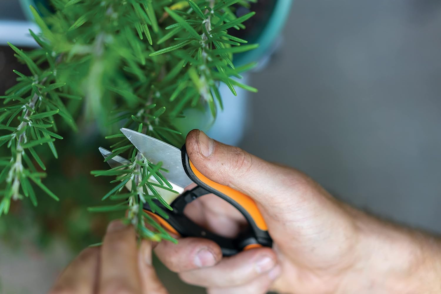 Detalle 2 de Fiskars Kräuterschere 12,9 cm, rostfreie Klingen, SoftGrip – SP-220 (1063326)