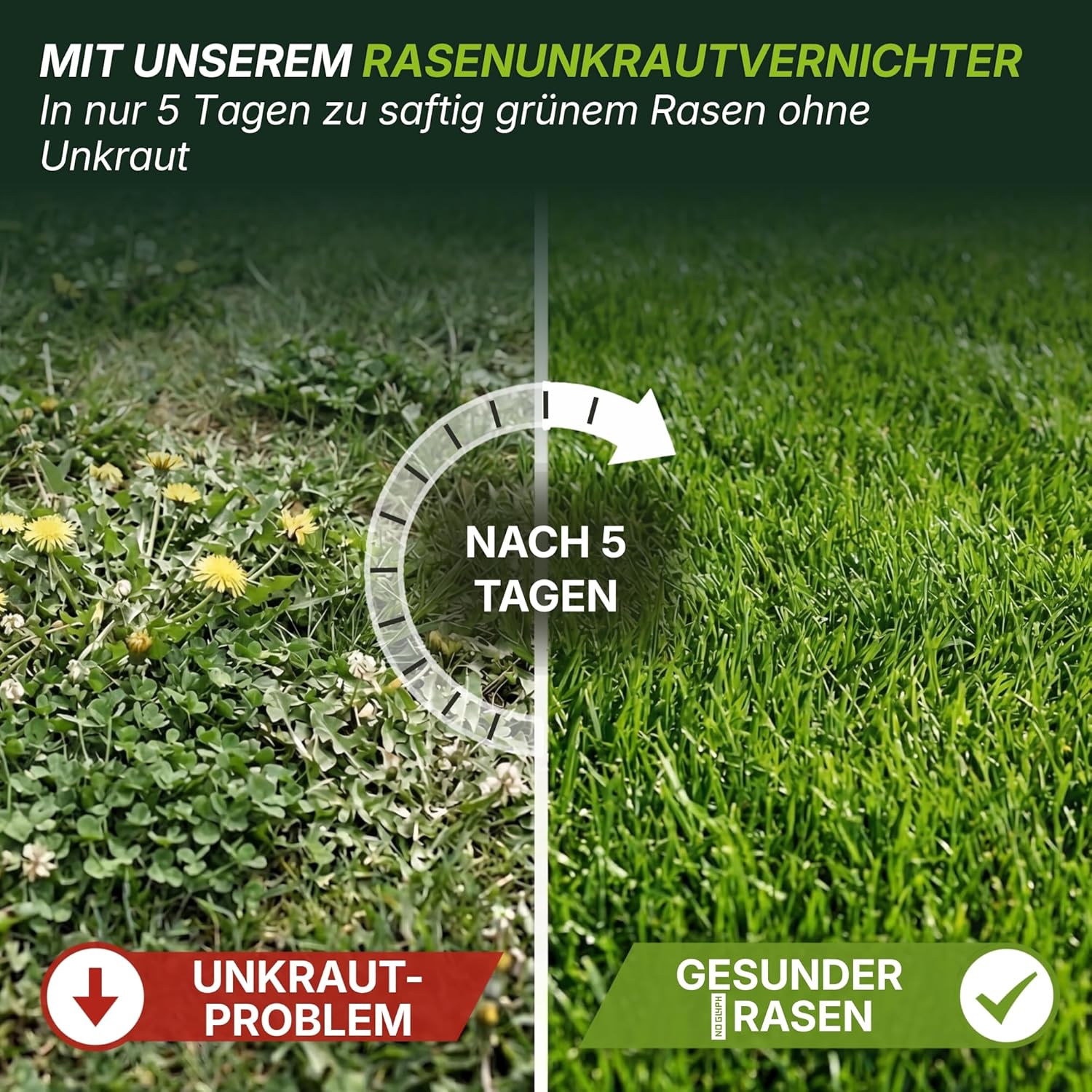 Detalle 2 de TerraUno Unkrautvernichter Rasen 500 ml – Extra stark, wurzeltief gegen 40+ Unkräuter