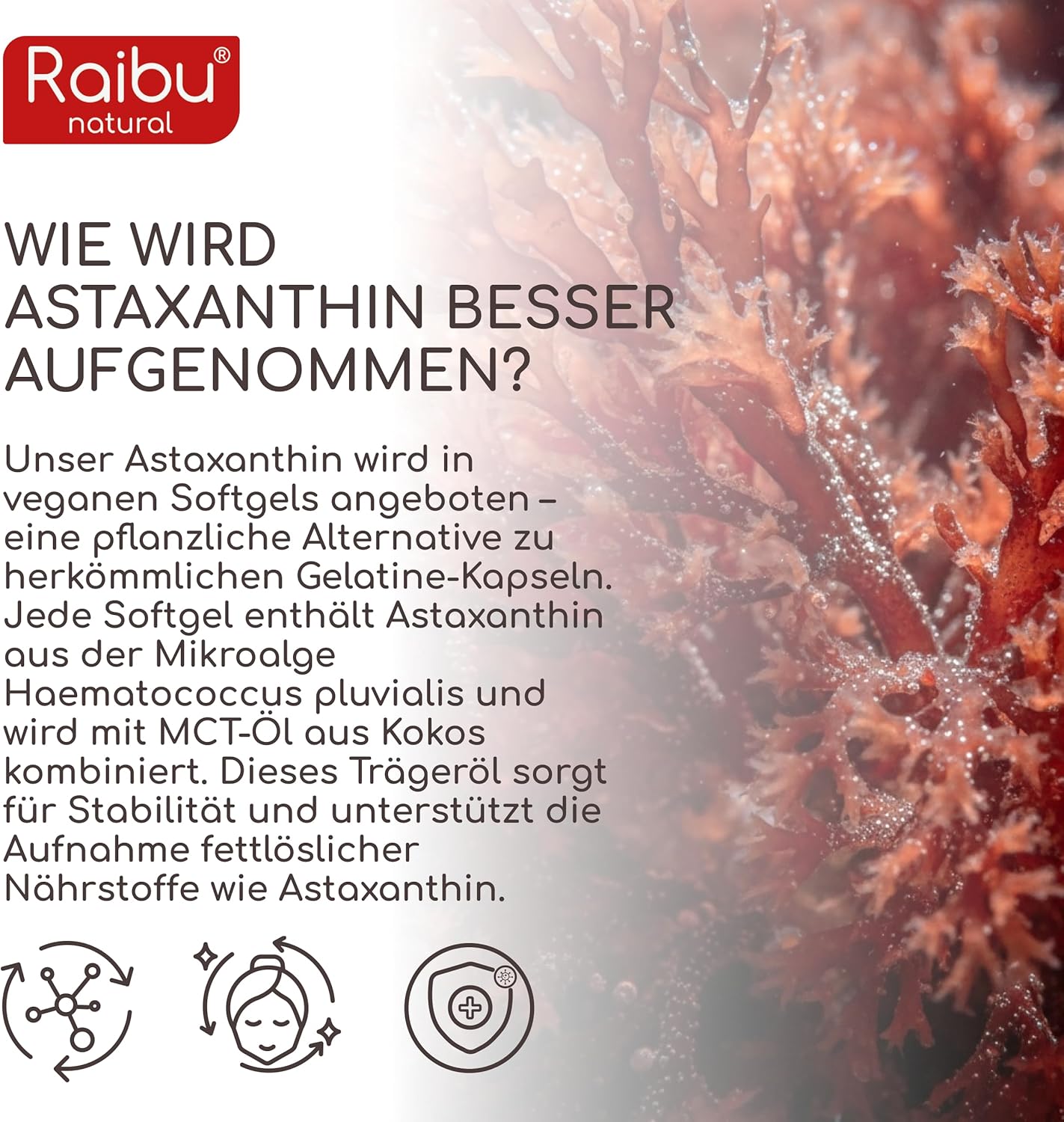 Thumbnail 3 de Astaxanthin Hochdosiert – RAIBU, 180 vegane Softgels, 8 mg pro Softgel