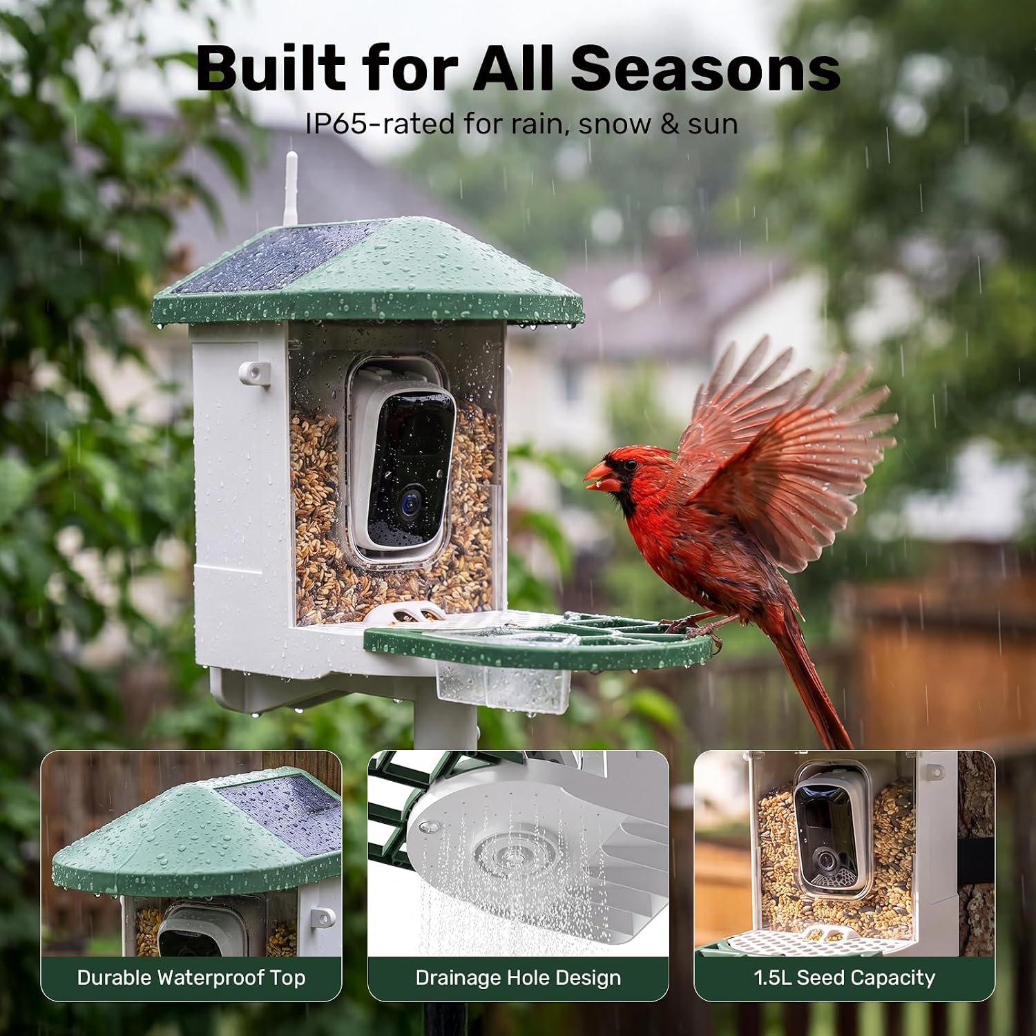 Thumbnail 6 de HARYMOR Smart Bird Feeder with Camera, 1.5L Capacity