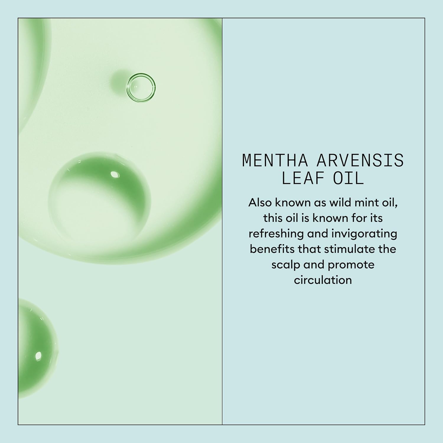 Thumbnail 5 de Nioxin Scalp Recovery Purifying Shampoo per cuoio capelluto irritato, antiforfora (1L)