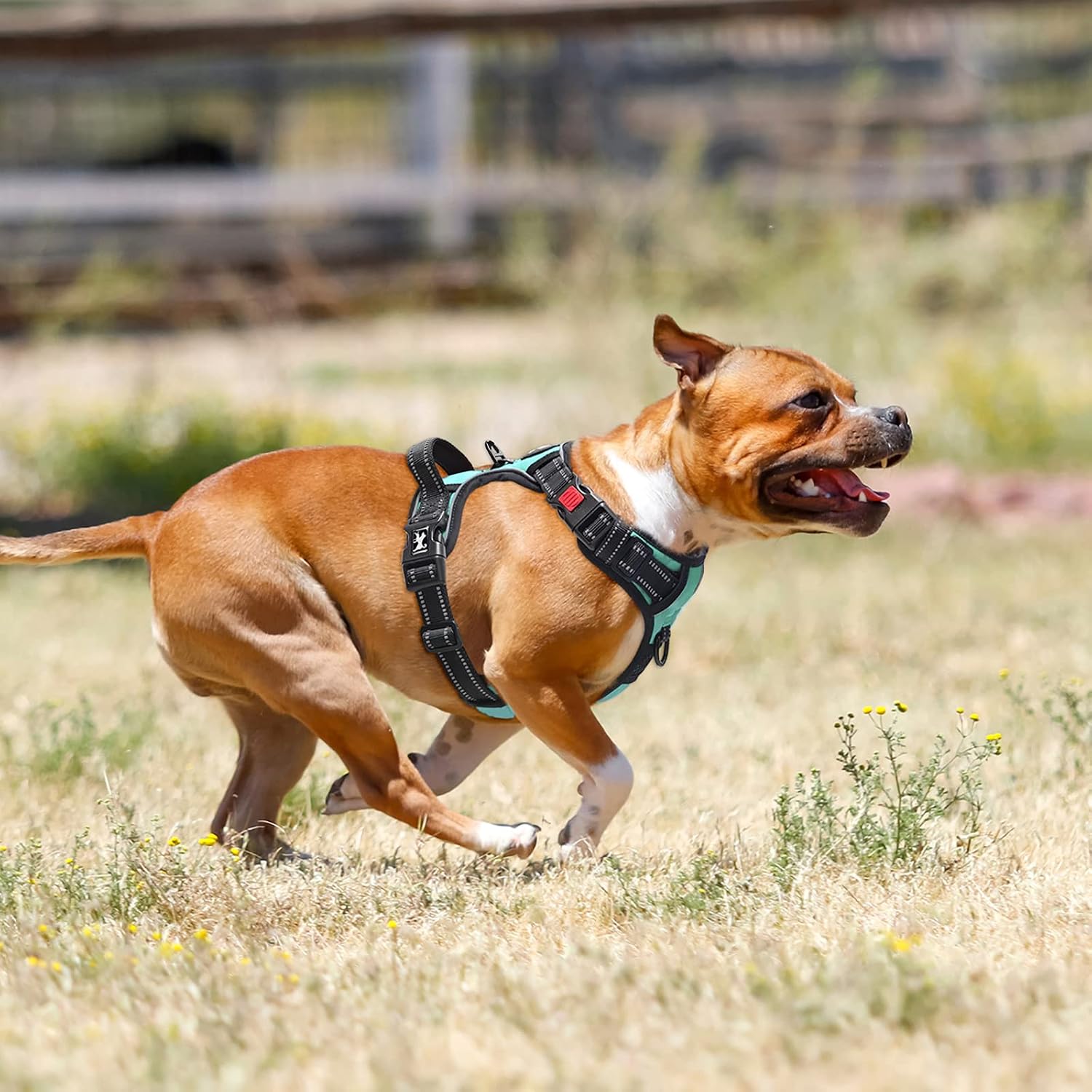 Thumbnail 1 de PoyPet No Pull Dog Harness 2‑clip for XL dogs