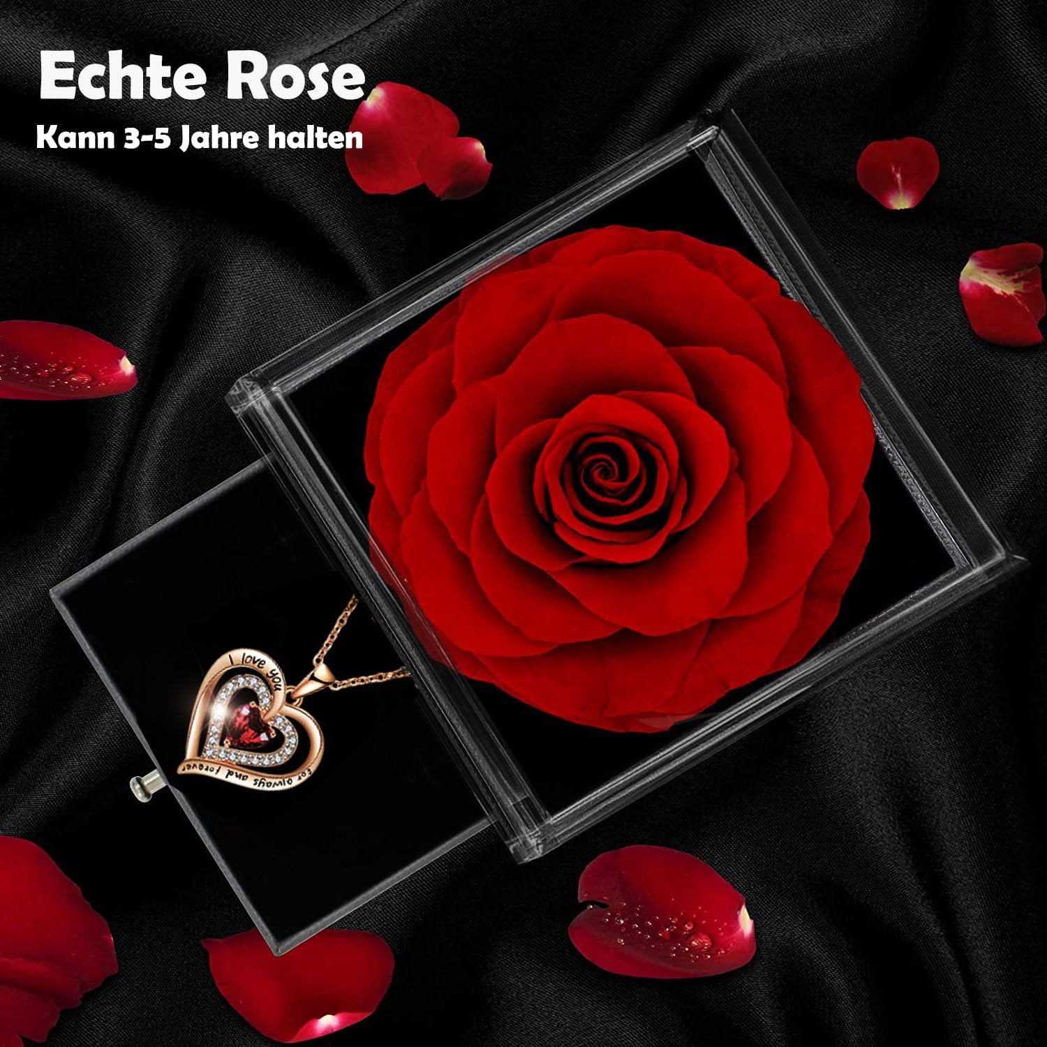 Detalle de Ewige Rose Konservierte echte Rose 3–5 Jahre 🌹