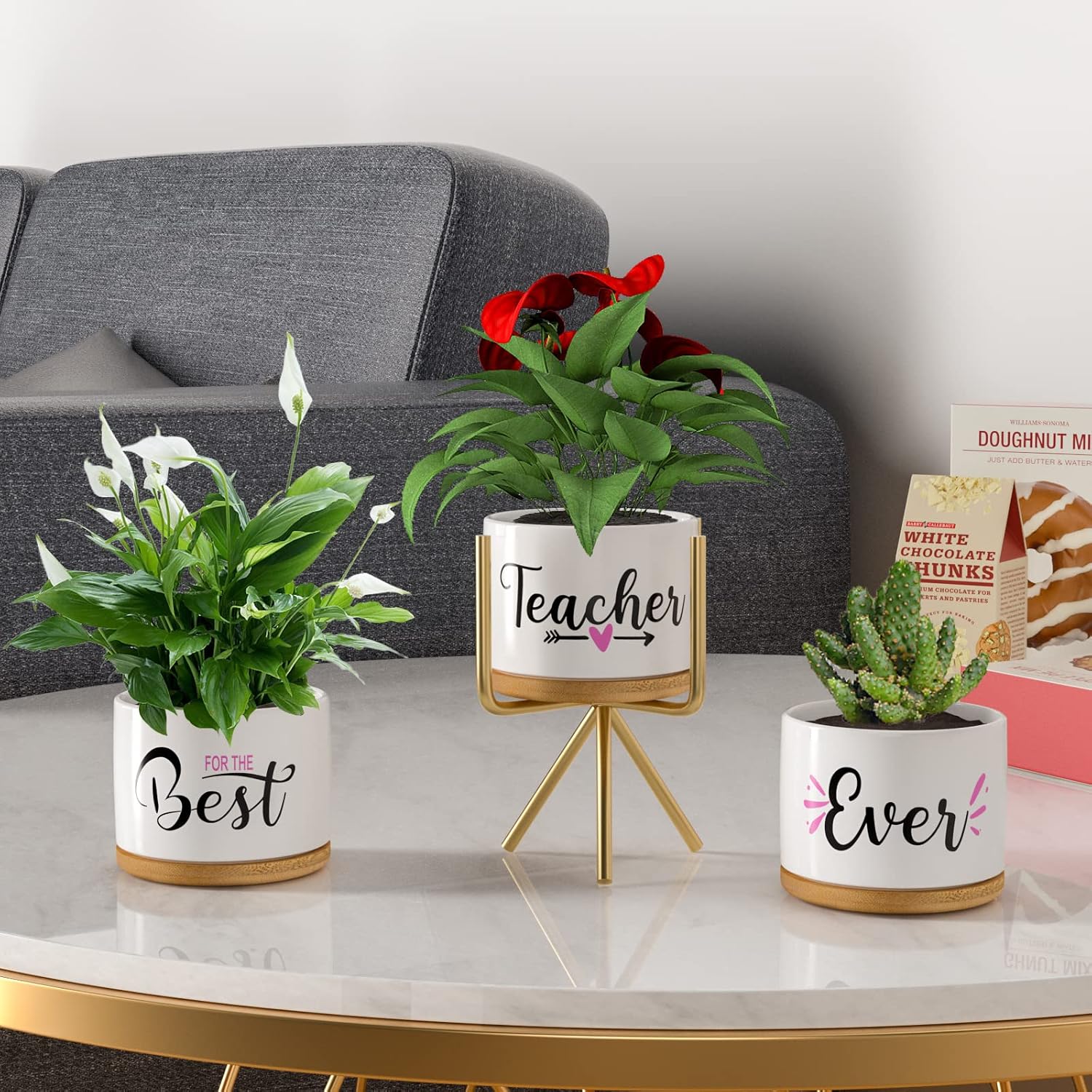 Detalle de Teacher Appreciation Gifts for Women: Best Teacher Ever Ceramic Succulent Pots