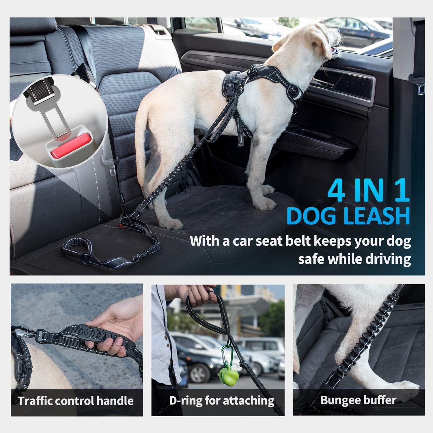 Thumbnail 4 de IOKHEIRA Bungee Dog Leash 120–150 cm