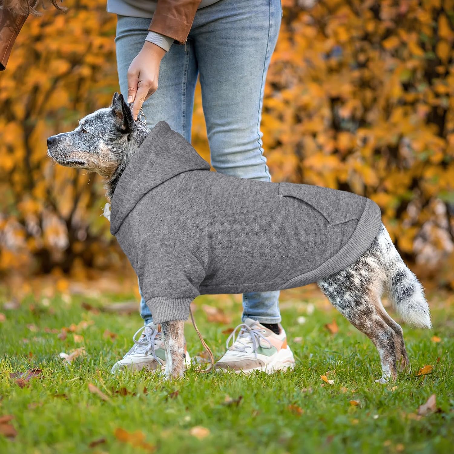 Detalle 2 de QDYU QDYU971861 Dog Hoodie, Gray XXL Brushed Fleece with Pocket