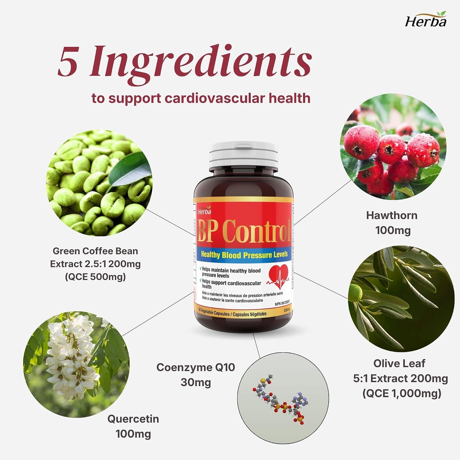 Thumbnail 3 de Herba Blood Pressure Support Supplement, 90 Vegan Capsules with 5 Ingredients