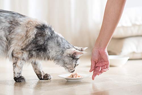 Detalle 2 de Schesir Linea Light – Cibo Secco per Gatti Adulti Sterilizzati, con Prosciutto, Sacco da 10 Kg