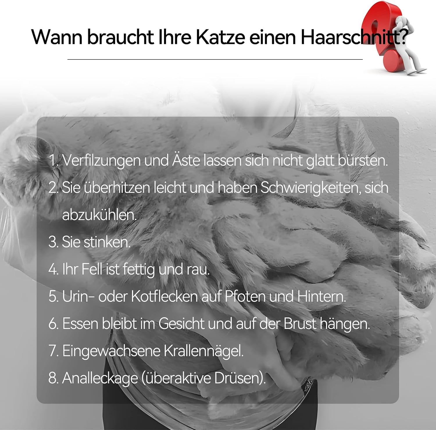 Thumbnail 6 de Bautrium Leise Schermaschine Katze Set USB‑C Aufladung
