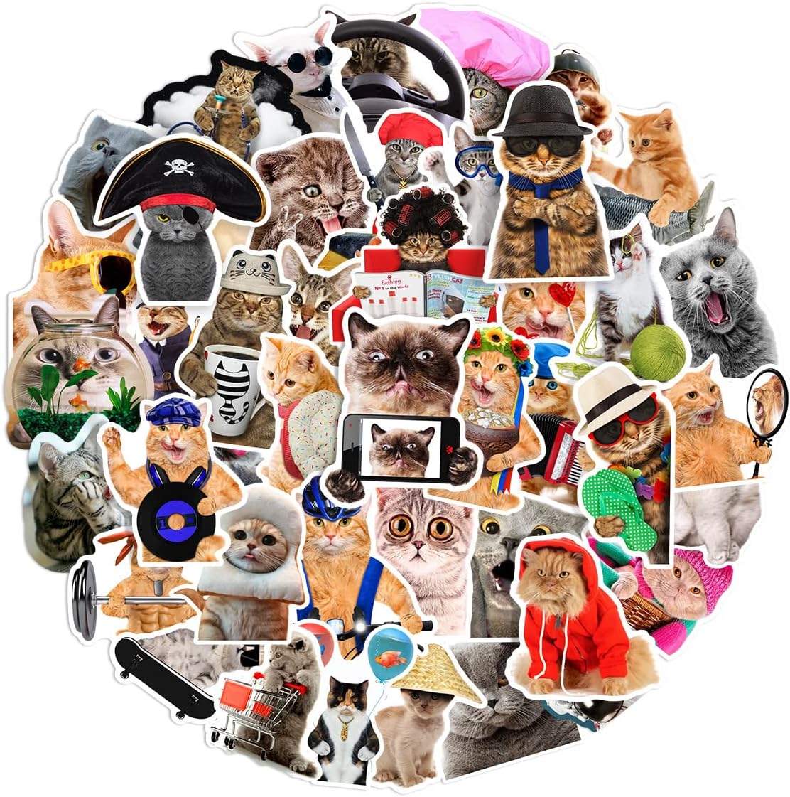 Cat stickers, 66-piece set