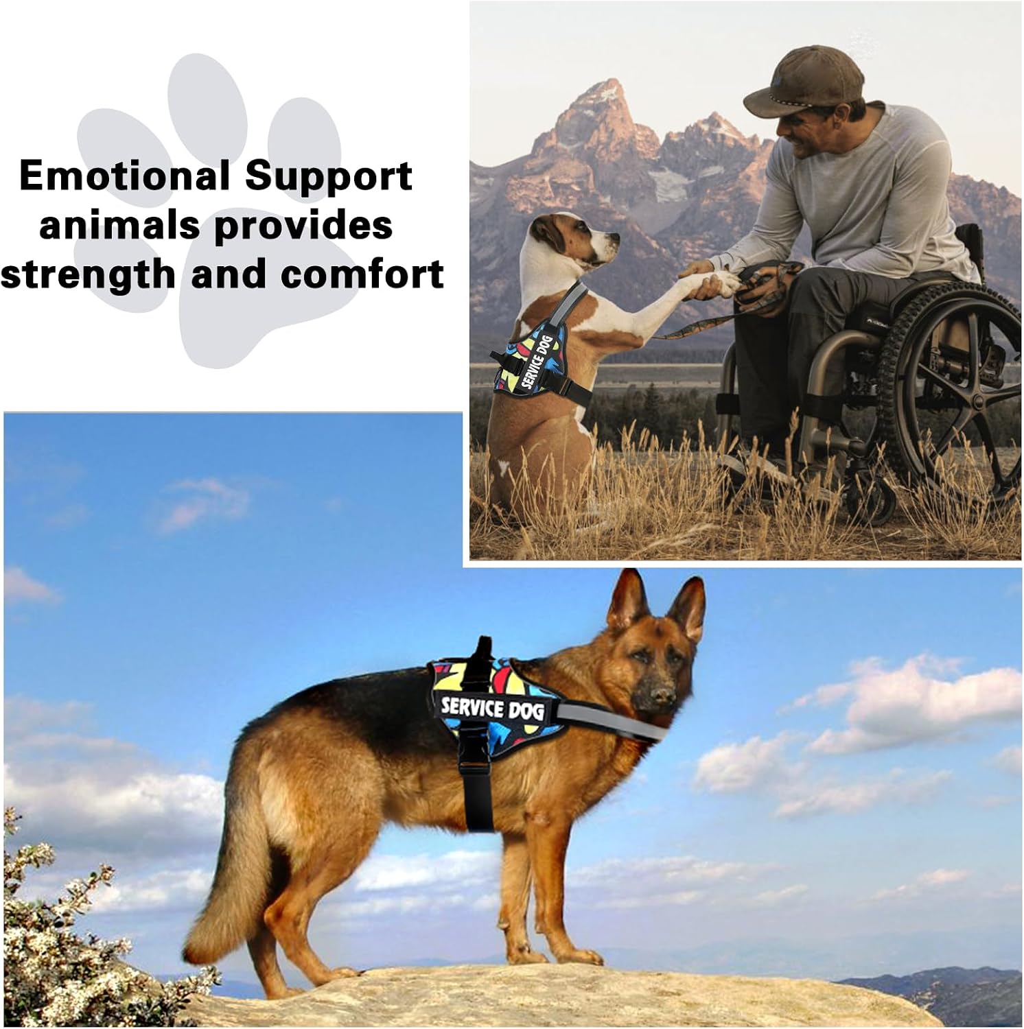 Thumbnail 6 de Belababy Service Dog Harness, L reflective