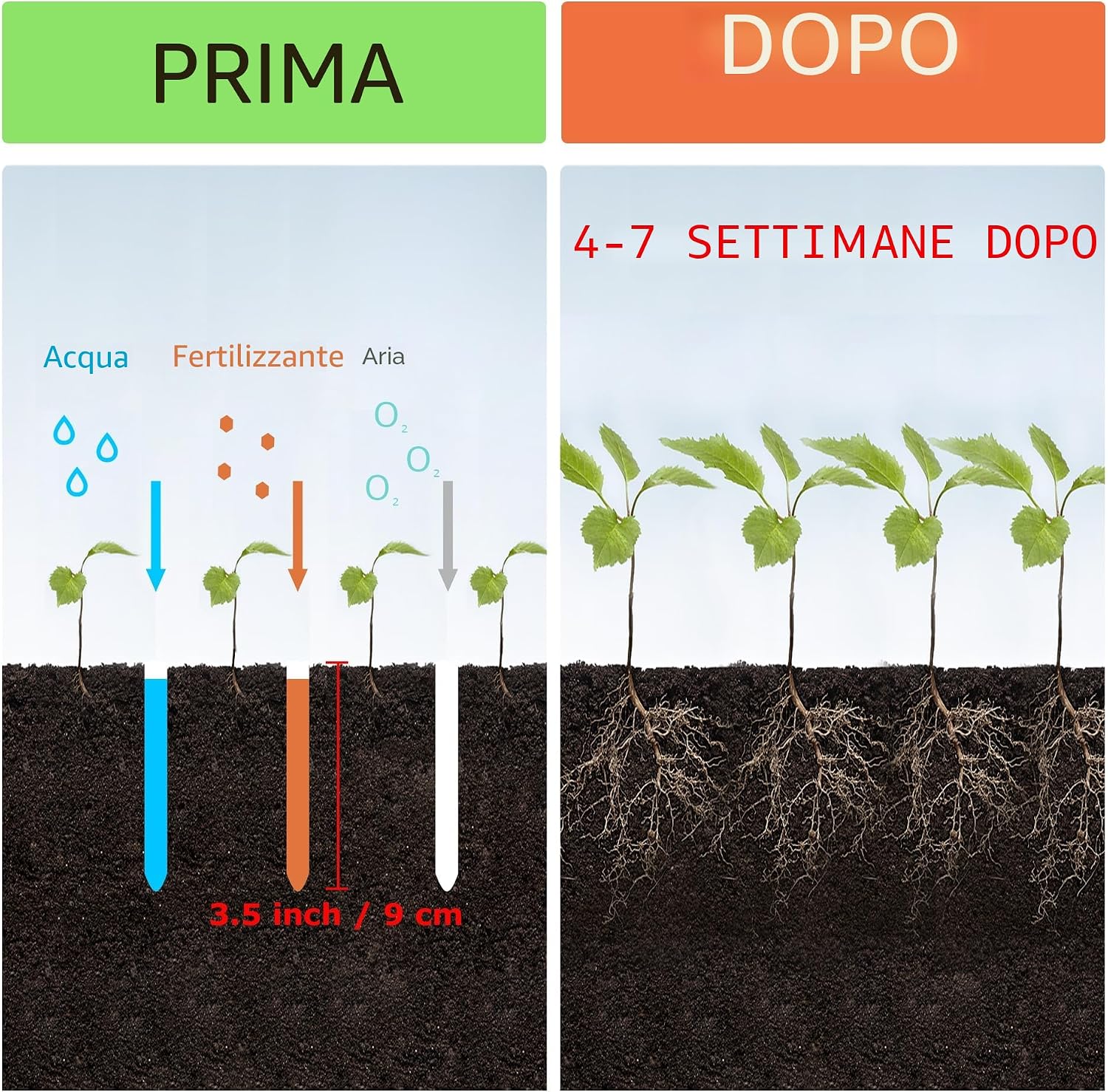 Detalle 2 de BARAYSTUS Arieggiatore manuale per prato con 4 punte regolabile in altezza