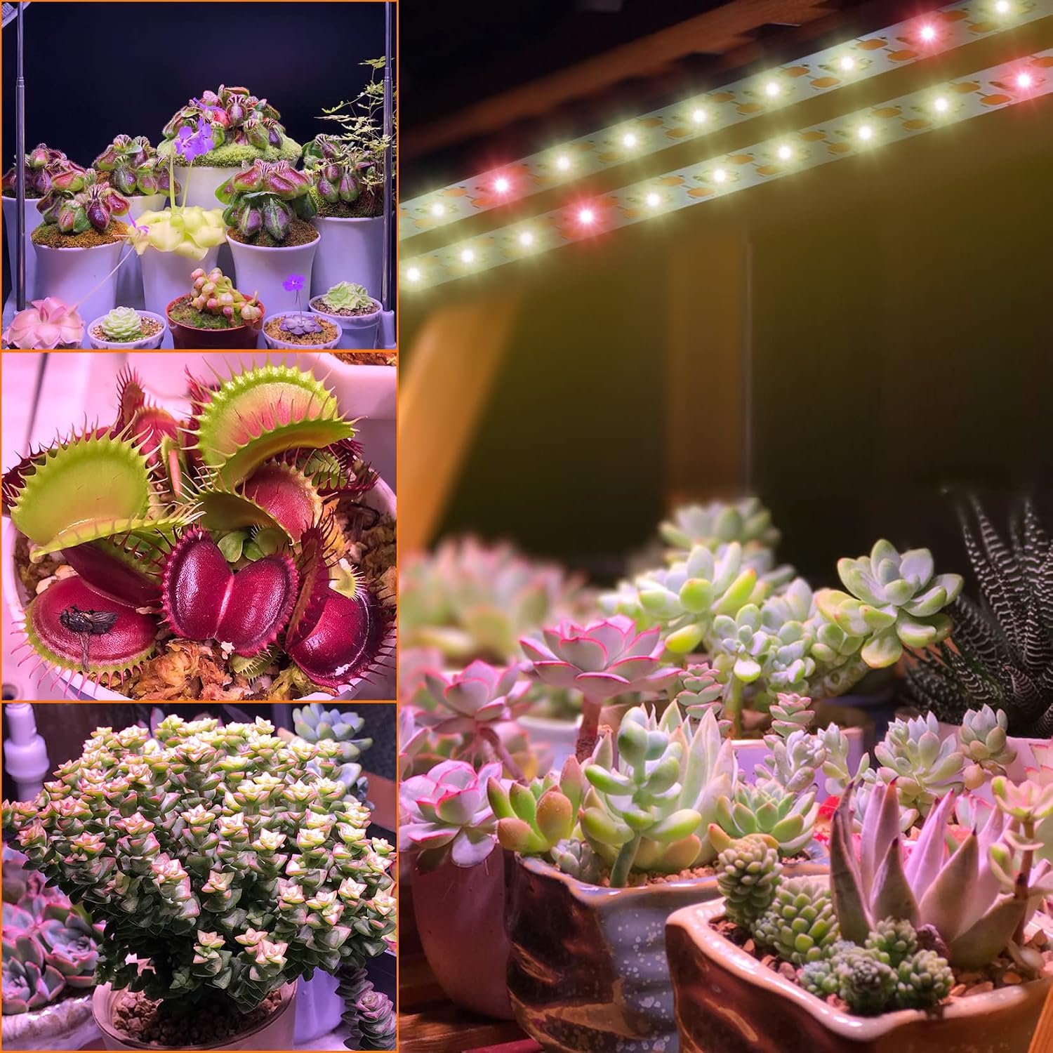 Detalle de LYGZM csx-2835 LED Grow Light, 120 LEDs, Full Spectrum, Dimmable Timer