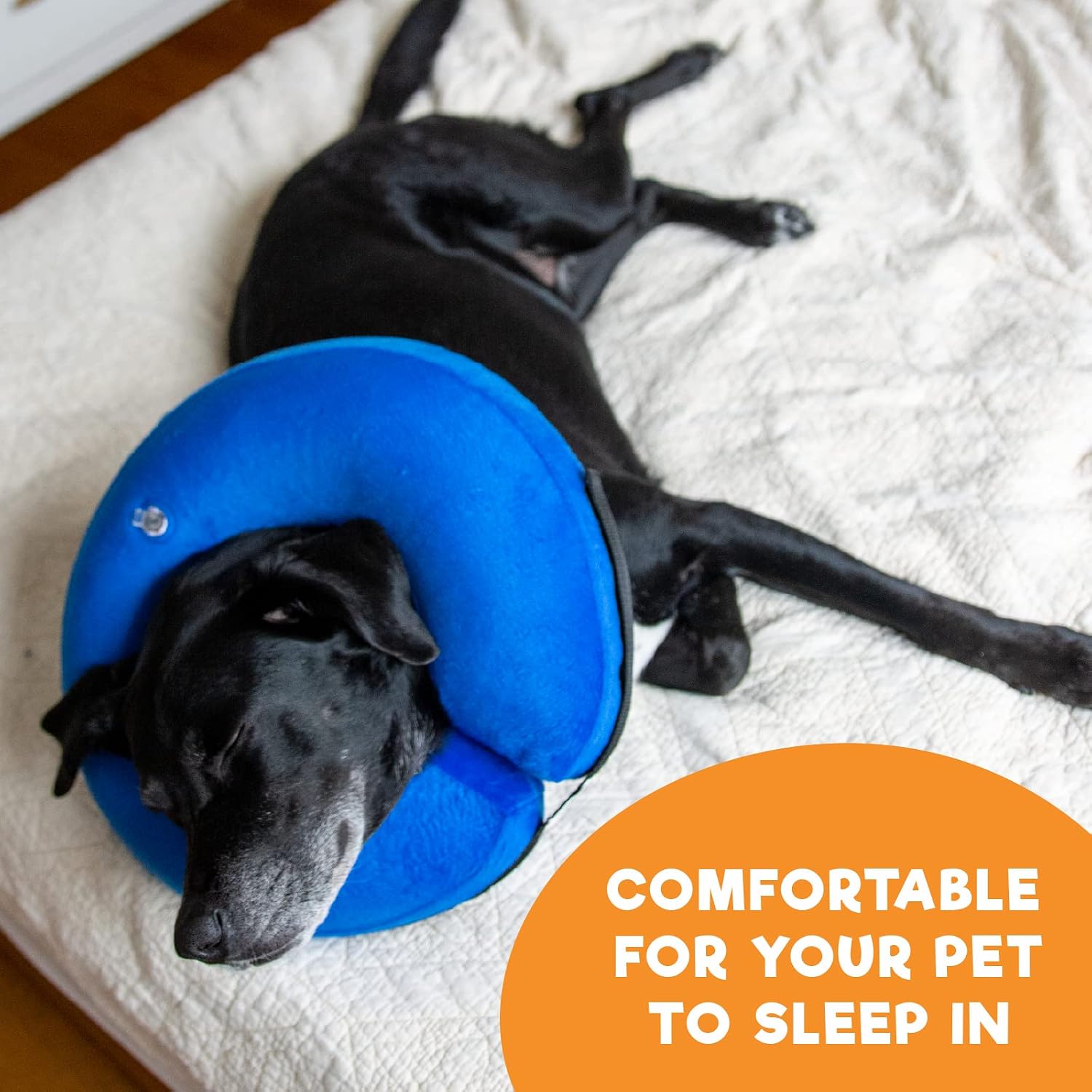 Thumbnail 6 de BENCMATE Collar Inflable protector para perros 1 unidad