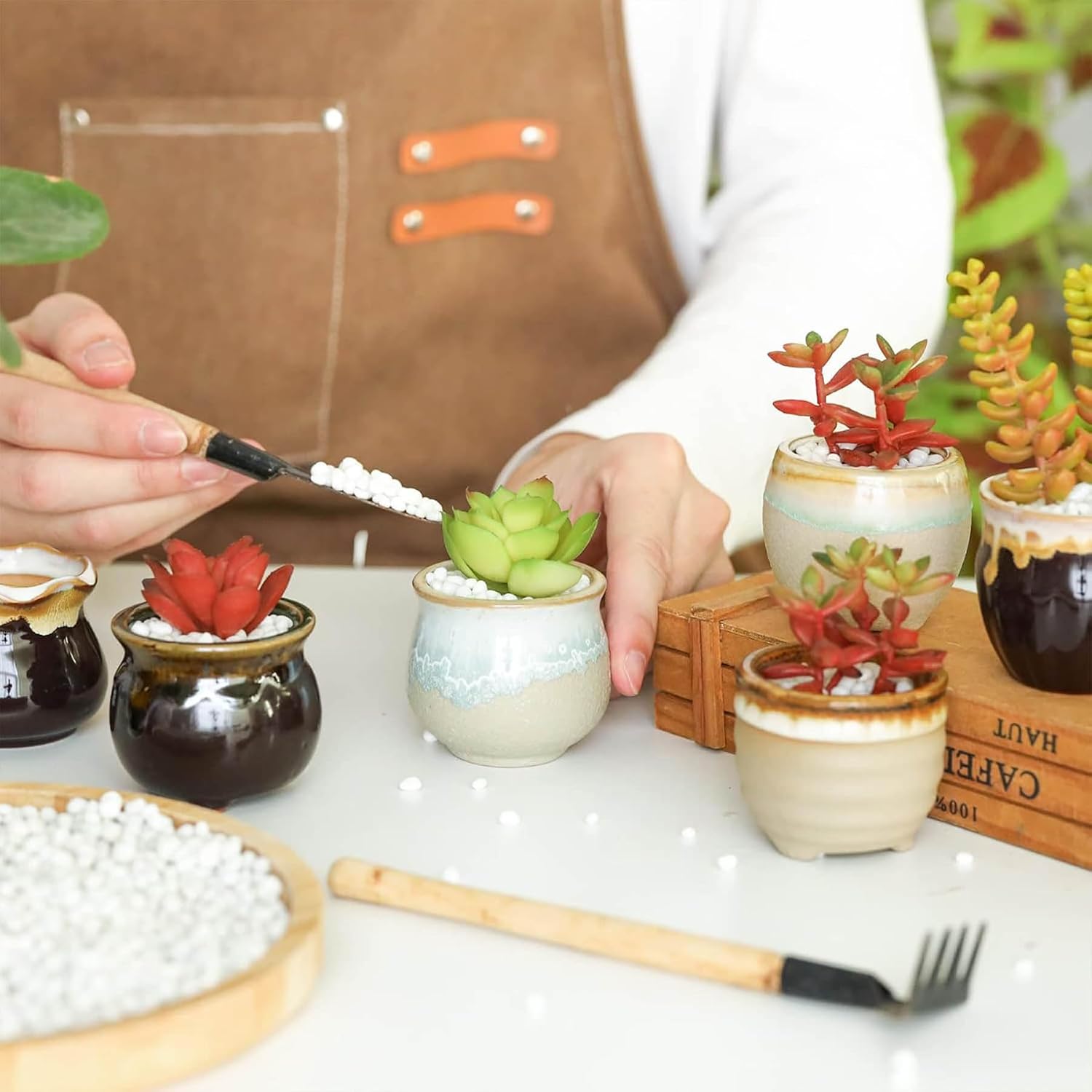 Detalle 2 de T4U Small Ceramic Succulent Pots set of 6