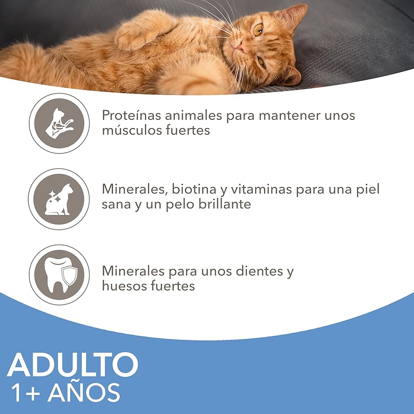 Detalle de IAMS Advanced Nutrition Sea Collection - Alimento húmedo para gatos 🐱