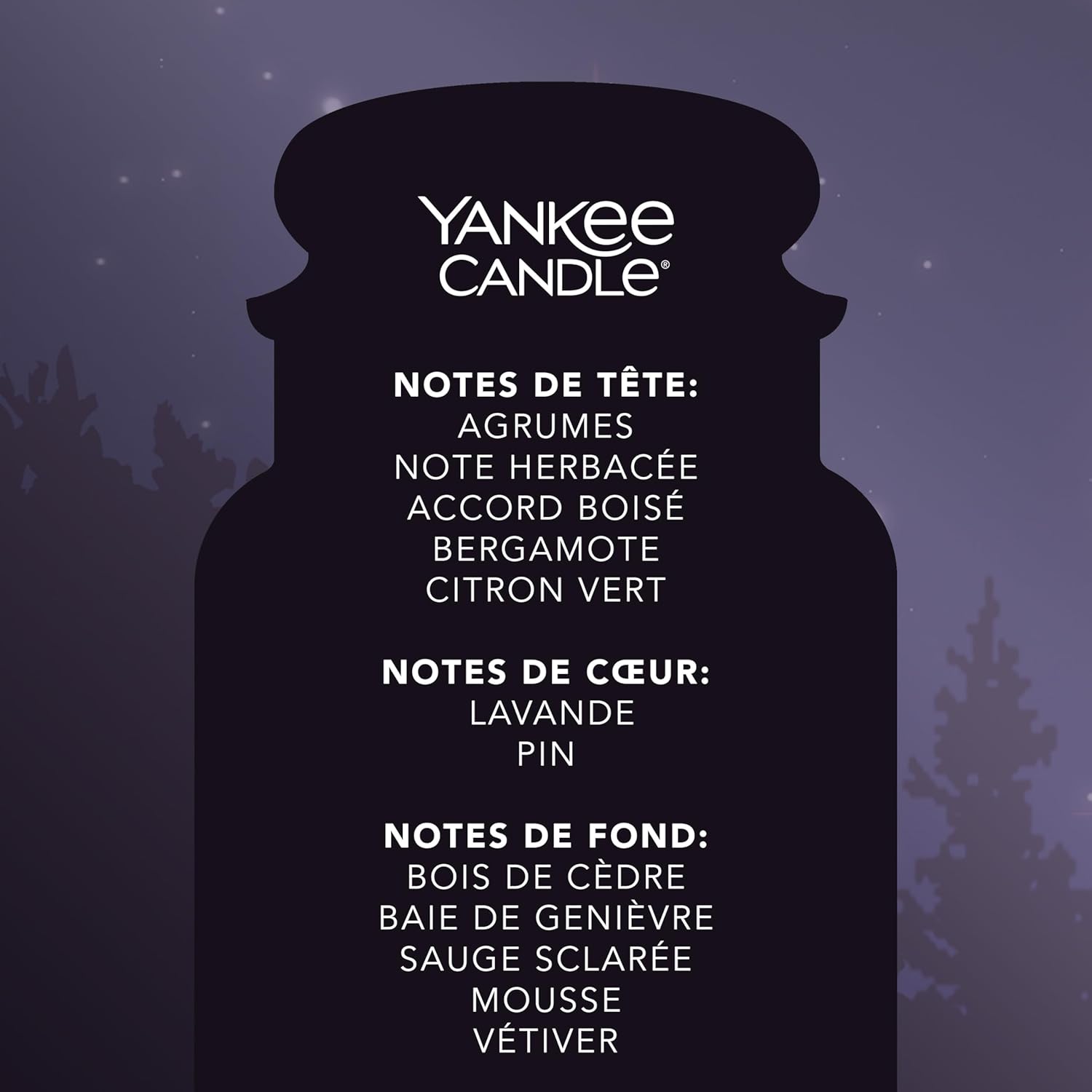 Thumbnail 3 de Yankee Candle bougie parfumée Nuite d'été - format jarre 623 g (150 h)