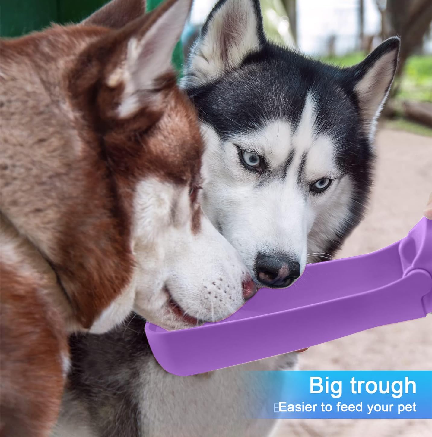 Detalle de SOICTA Portable Dog Water Bottle (Foldable) in Purple – 19OZ or 12OZ for Walking