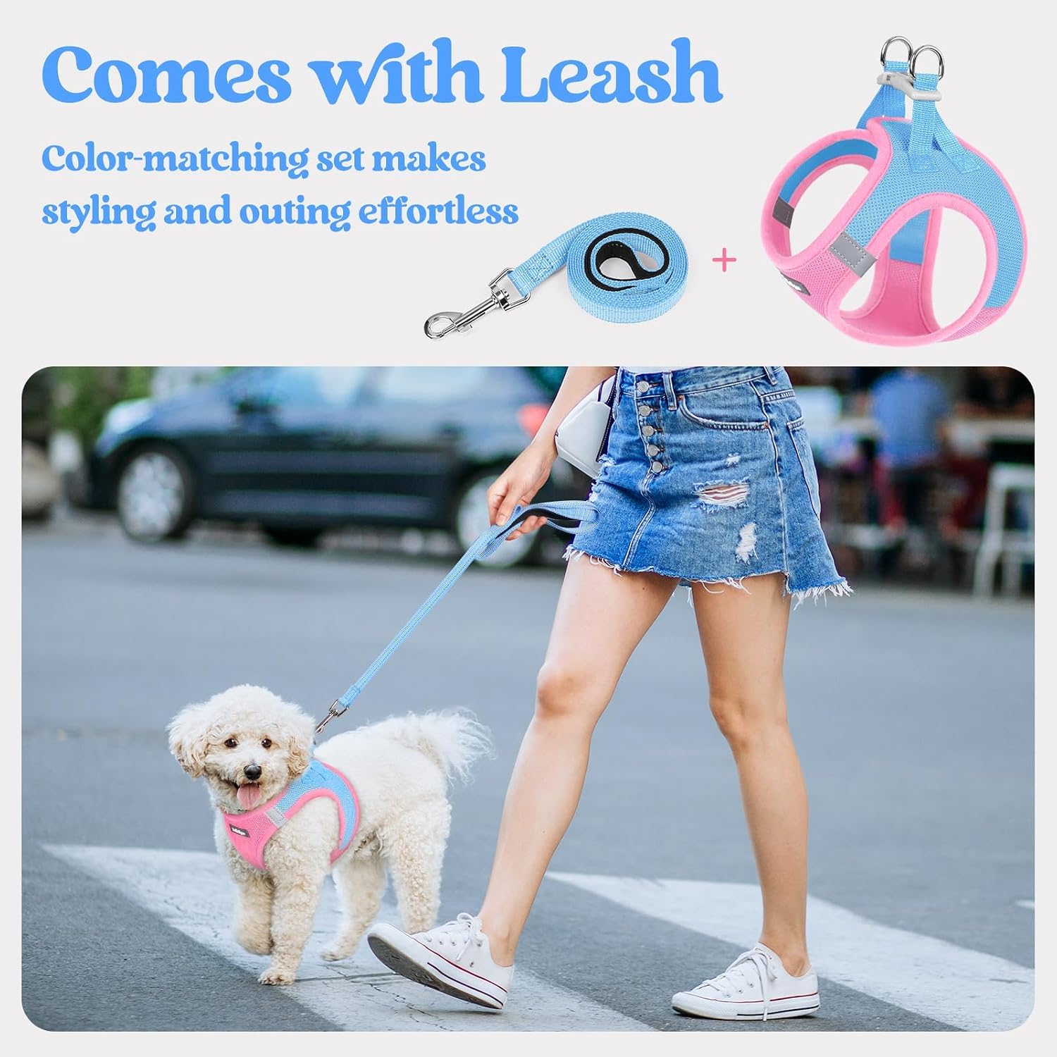 Detalle 1 de rabbitgoo MJGBDTZCG-SPKSBCS-DADE Small Step-In Dog Harness and Leash Set, Reflective Mesh, Blue & Light Pink