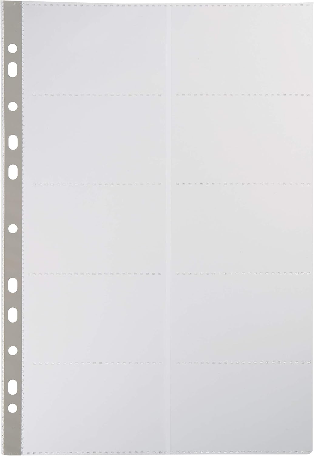 Viquel 152273 fundas 57x95 mm pack 10