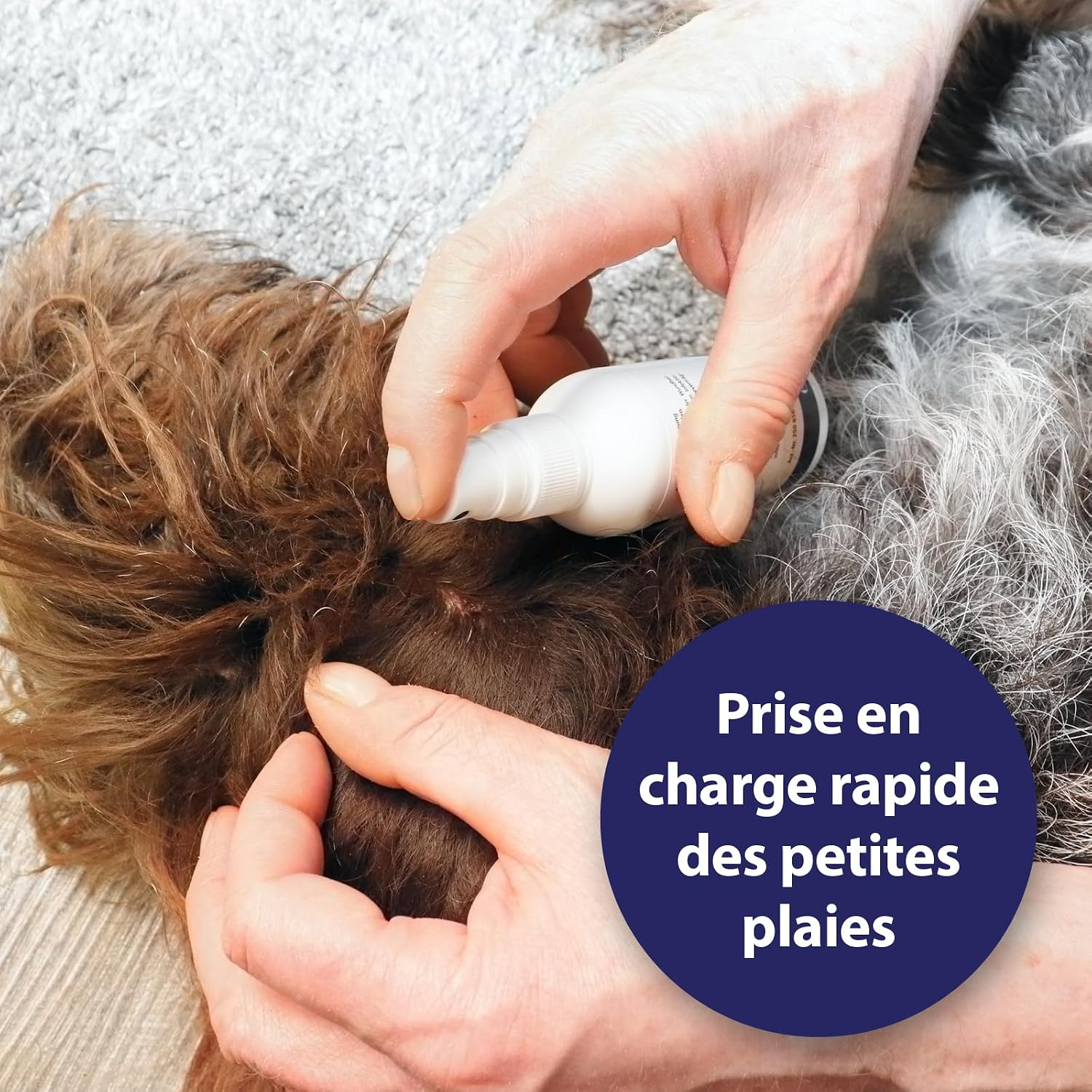 Detalle de Canosept Spray Antiseptique Pour Chiens 75 ml – Spray pour plaies et soin des plaies