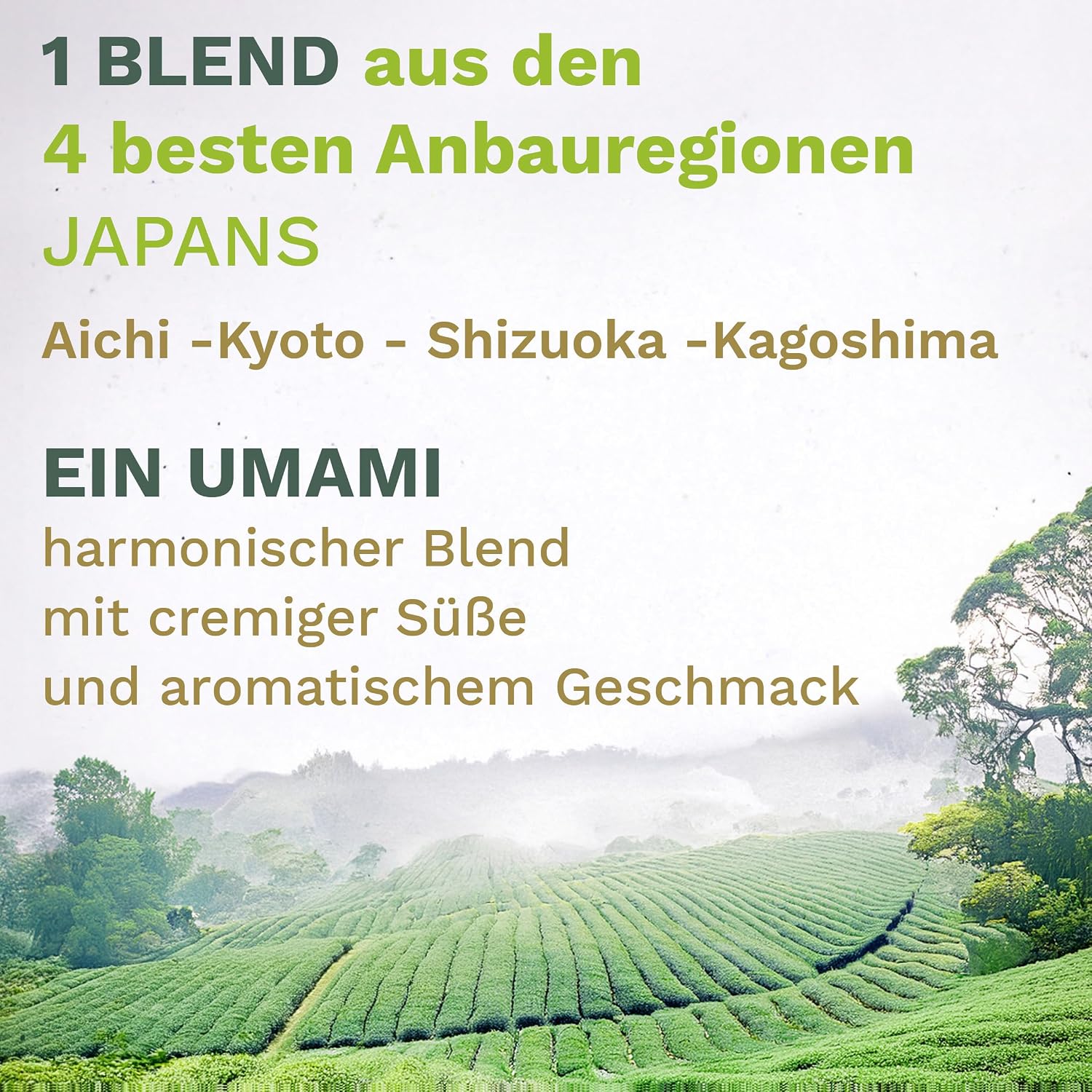 Thumbnail 2 de Creano Bio Matcha Tee Ceremonial (50 g) – 100% reiner Matcha aus Japan, Laborgeprüft