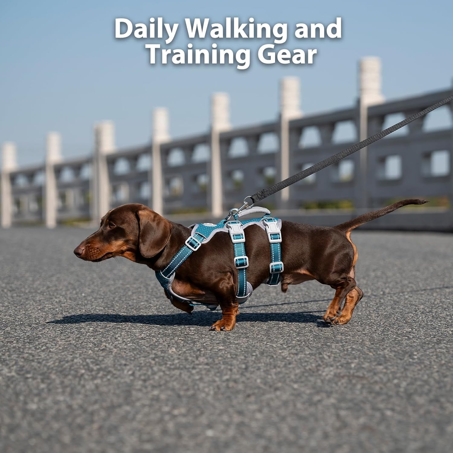 Thumbnail 6 de Huntboo Escape Proof Dog Harness XL: Reflective, No-Pull Vest with Front & Back Leash Clips