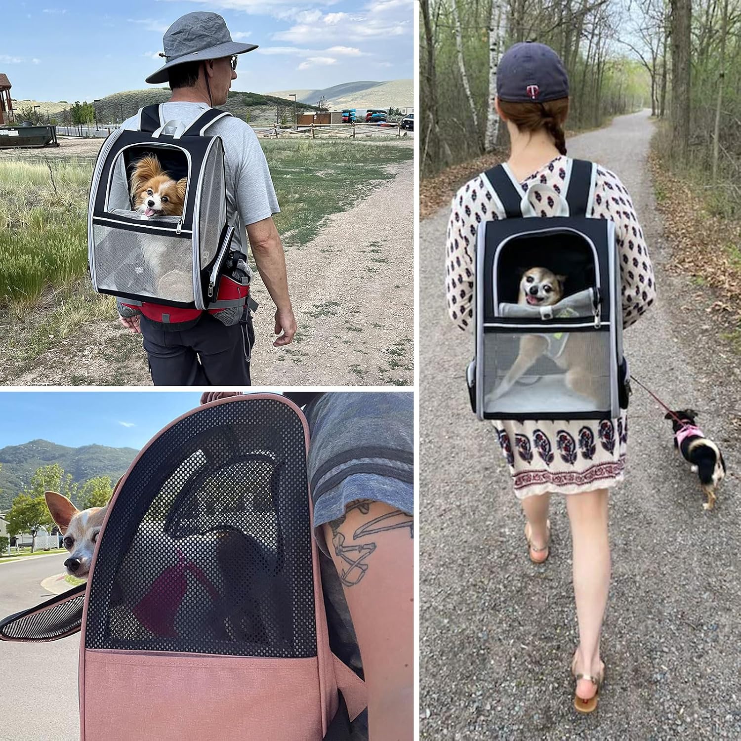 Thumbnail 6 de Hykiee Hunderucksack Katzenrucksack – Transportbox für Kleine Hunde bis 6 kg oder Katzen bis 8 kg