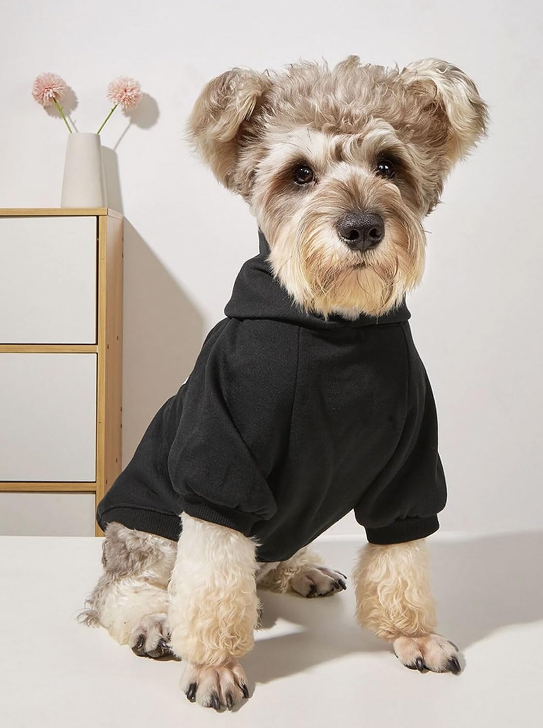 Detalle de DroolingDog Small Dog Hoodie: fleece-lined puppy sweatshirt with lead hole for autumn and winter