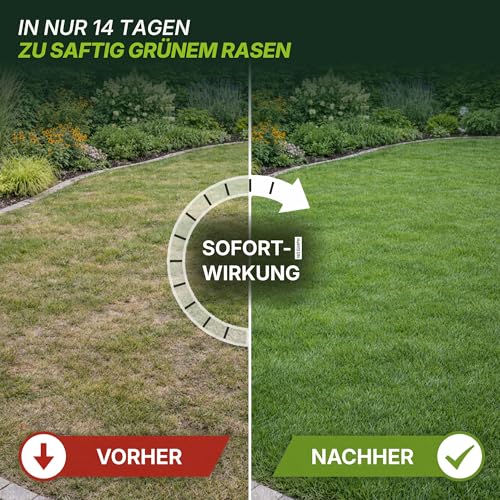 Detalle de TerraUno Rasendünger Frühjahr/Sommer I Sofortwirkung I 20 kg für 1000 m²