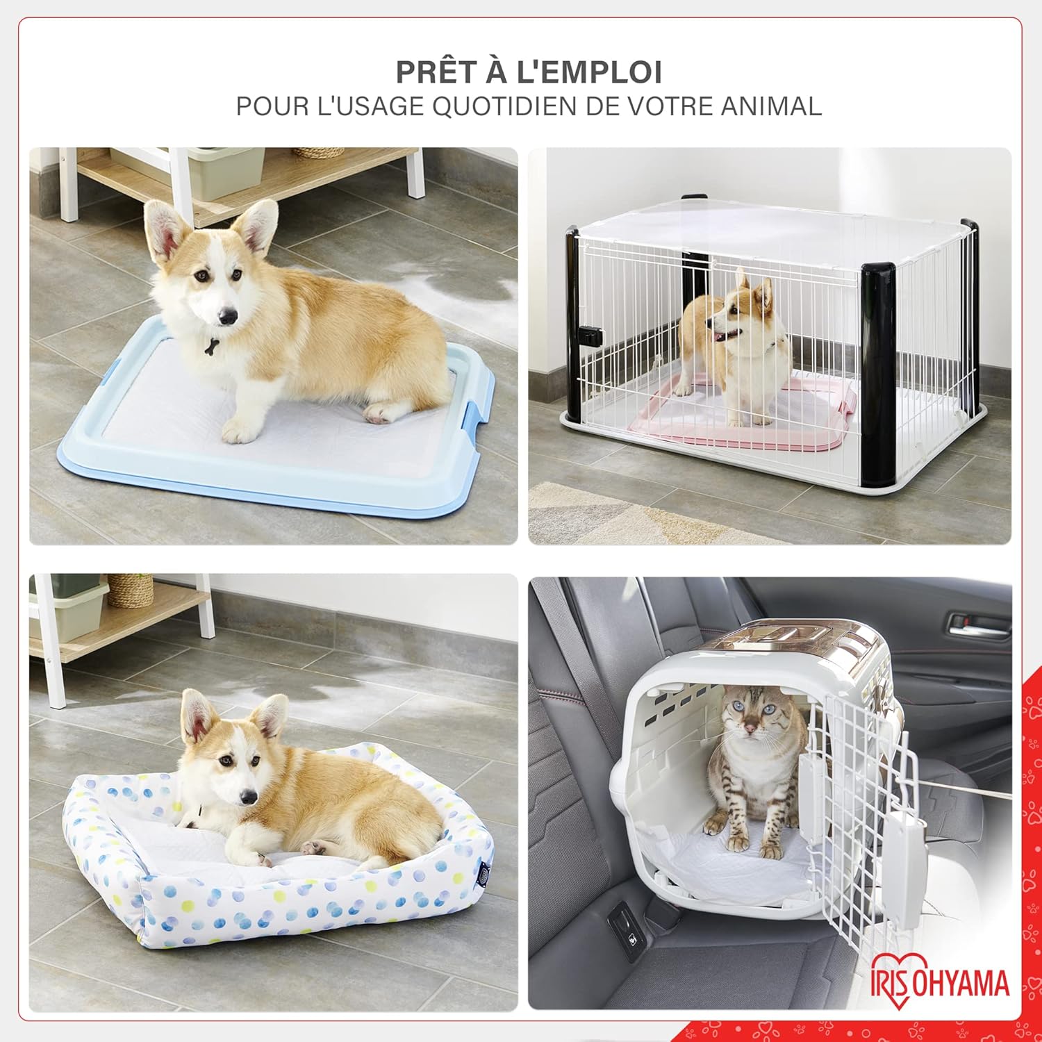 Thumbnail 5 de Iris Ohyama Pet Pad NS-100W – tappetini super assorbenti per cuccioli e addestramento (strato multiplo) 100 pezzi, bianco