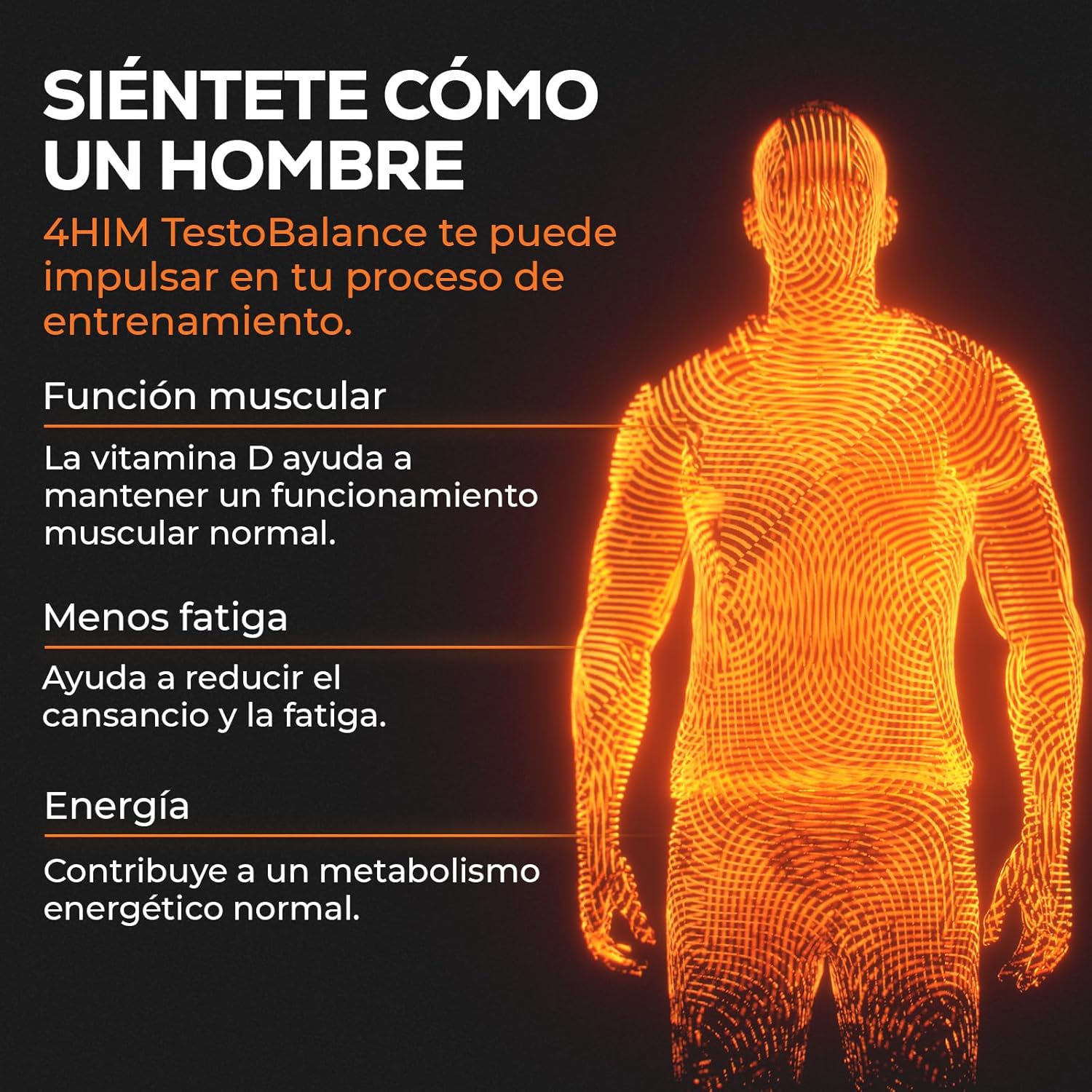 Detalle 2 de 4 HIM TestoBalance - Vitalidad y Fuerza con Zinc, Magnesio y Ginseng 💪