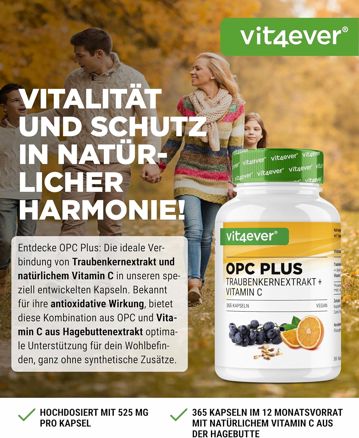 Thumbnail 1 de vit4ever OPC Traubenkernextrakt + natürliches Vitamin C – 365 Kapseln für 12 Monate (OPC nach HPLC, vegan)
