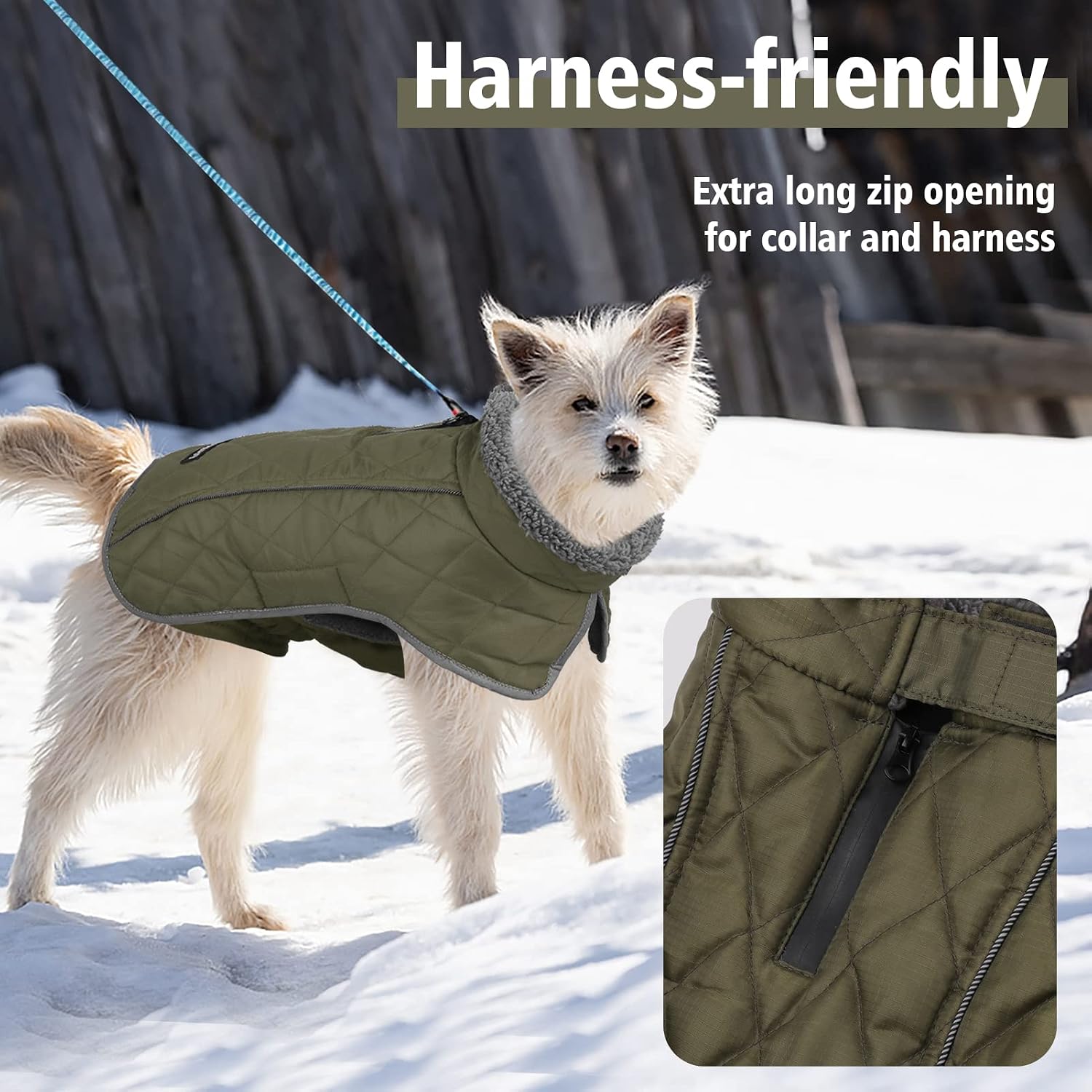 Detalle 2 de Fragralley Dog Coat M