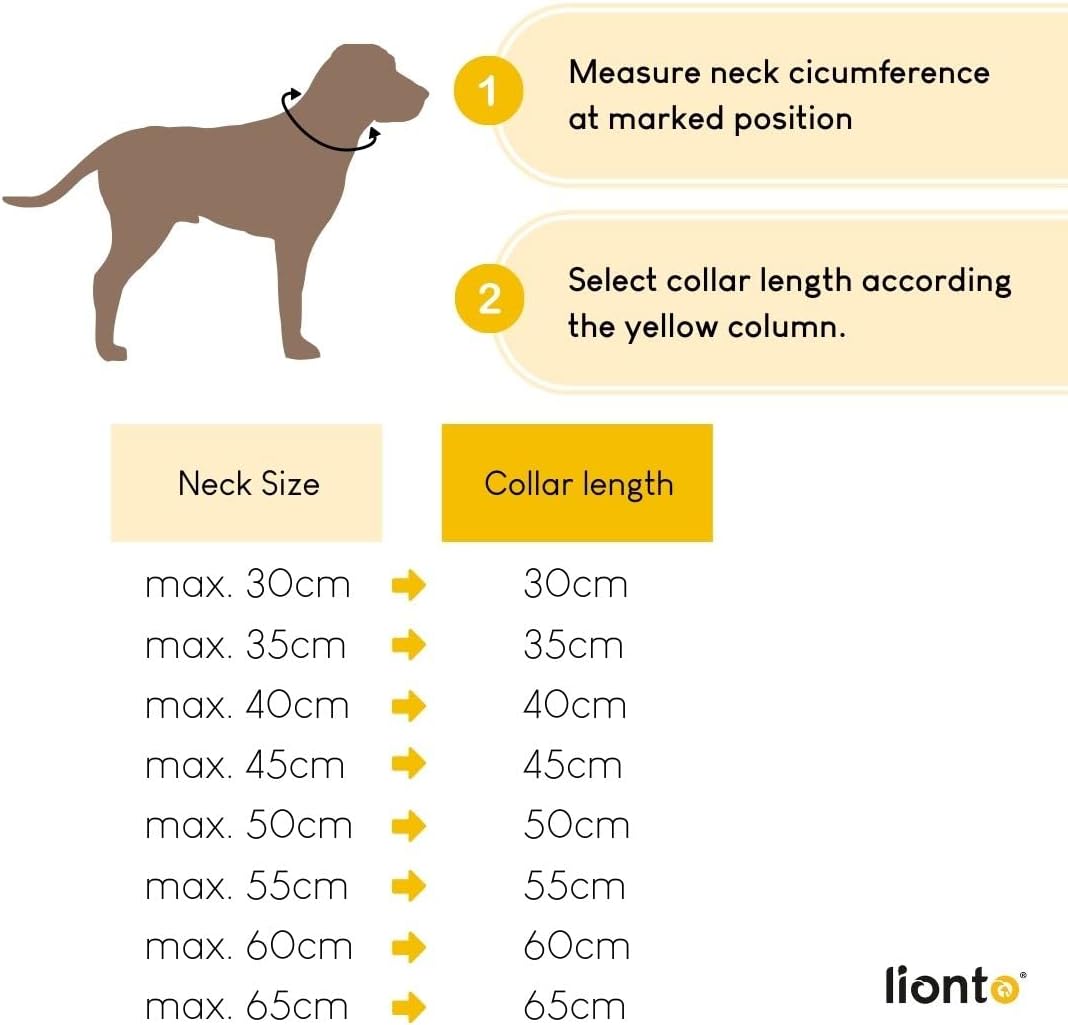 Thumbnail 6 de lionto Hundehalsband aus Nylon mit Zugstopp – 35 cm, 0,8 cm dick, schwarz