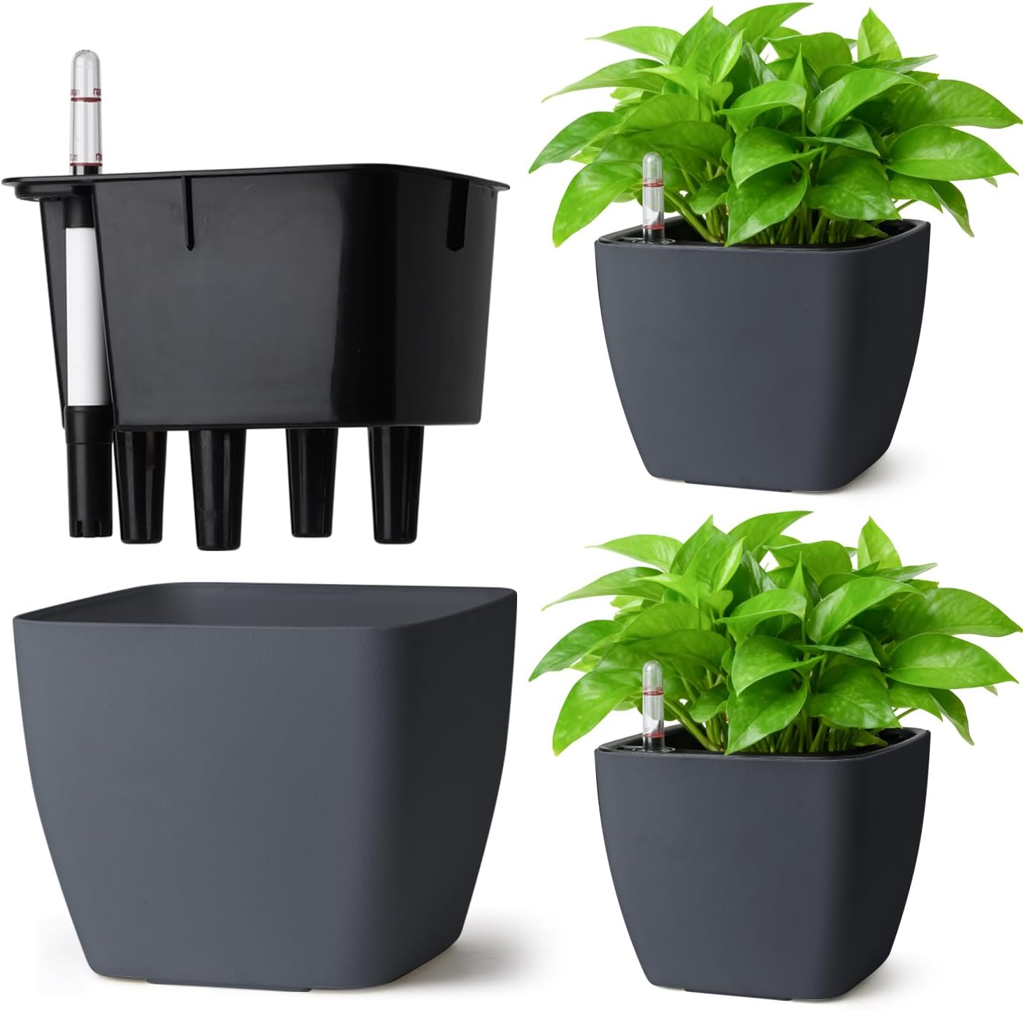 Detalle de T4U Self-Watering Plant Pots, 18 cm, 3 Pack with Water Level Indicator
