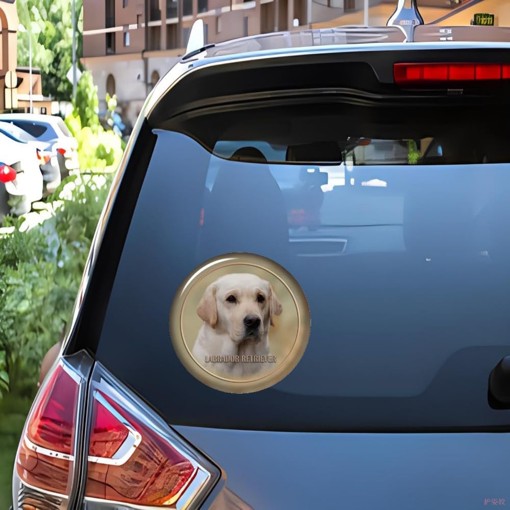 Detalle 1 de Labrador Retriever Autoaufkleber Reflektierend 15–25 cm