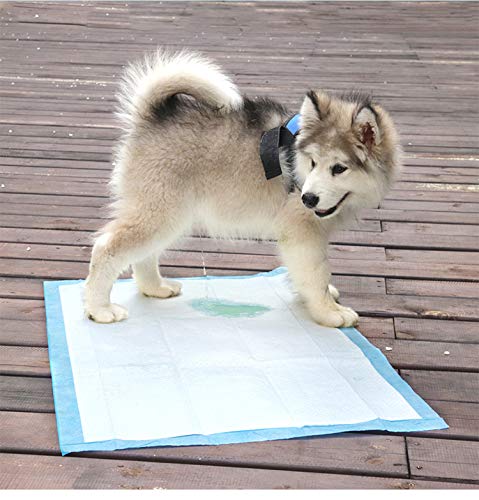 Thumbnail 7 de Tappetini igienici per cani 60x60 cm, 100 pezzi con assorbenza e odore controllato – BPS Buena Pet Shop