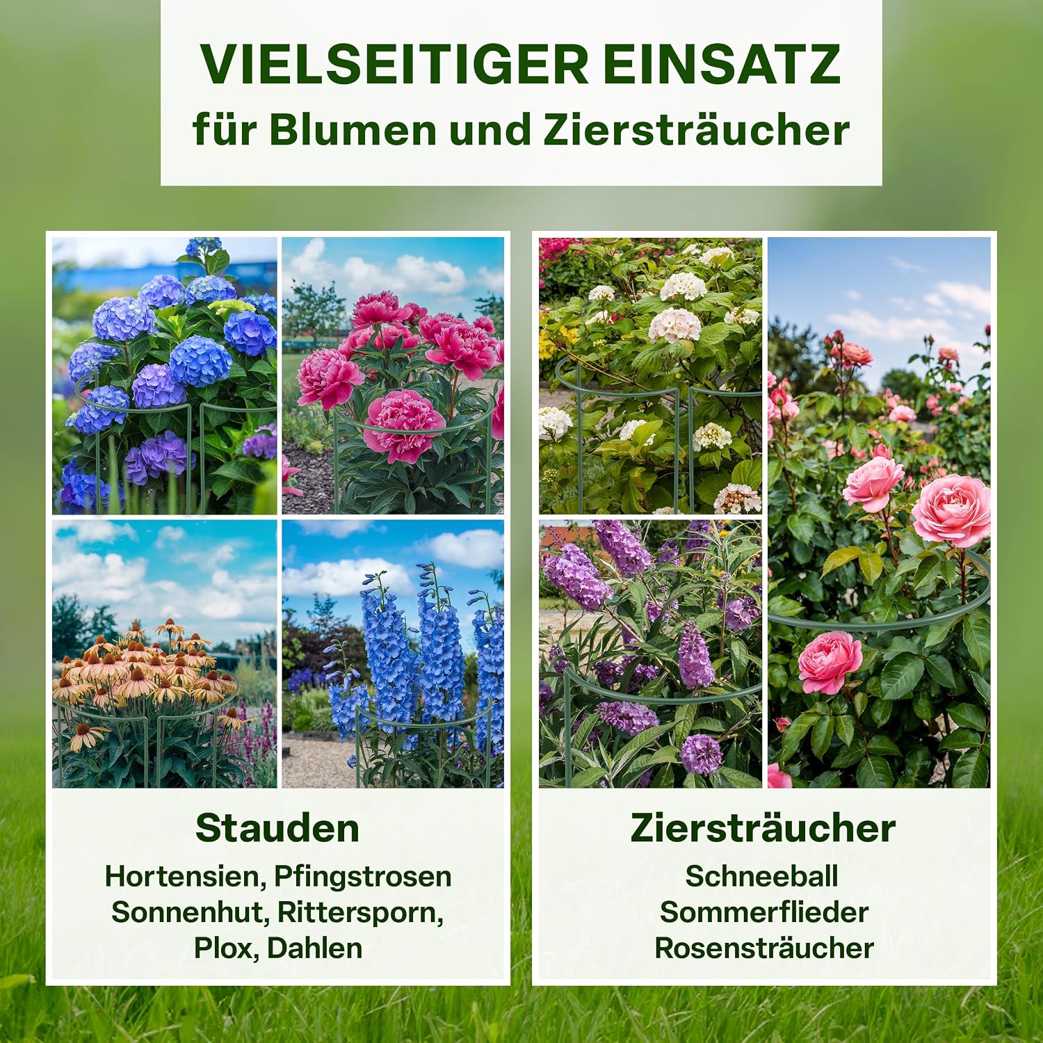 Detalle de TTL GARDEN Strauchstützen 100 cm x 40 cm | 10er Set + Klettband – rostfrei, grün