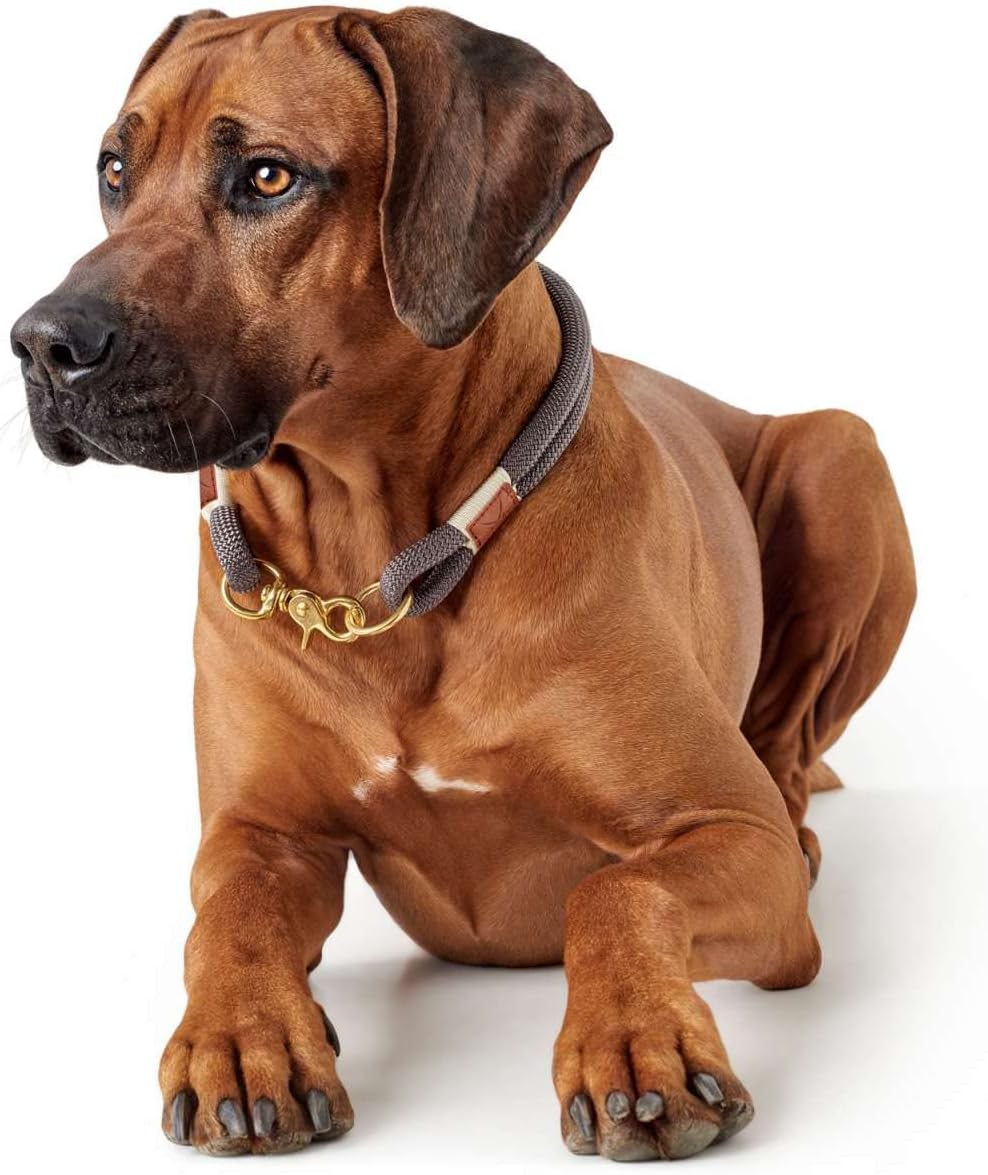 Thumbnail 5 de HUNTER Sansibar Rantum Halsung, Hundehalsband, beige, 50 cm (M-L) – nautisch-modern