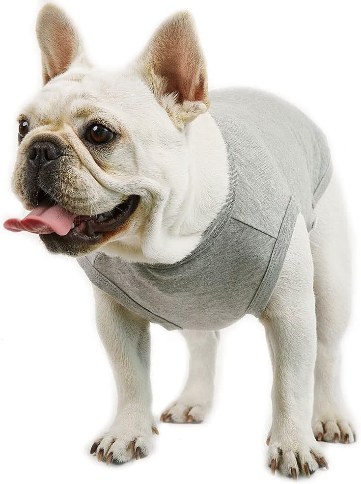 Detalle de Lucky Petter Dog Tank Top, Small
