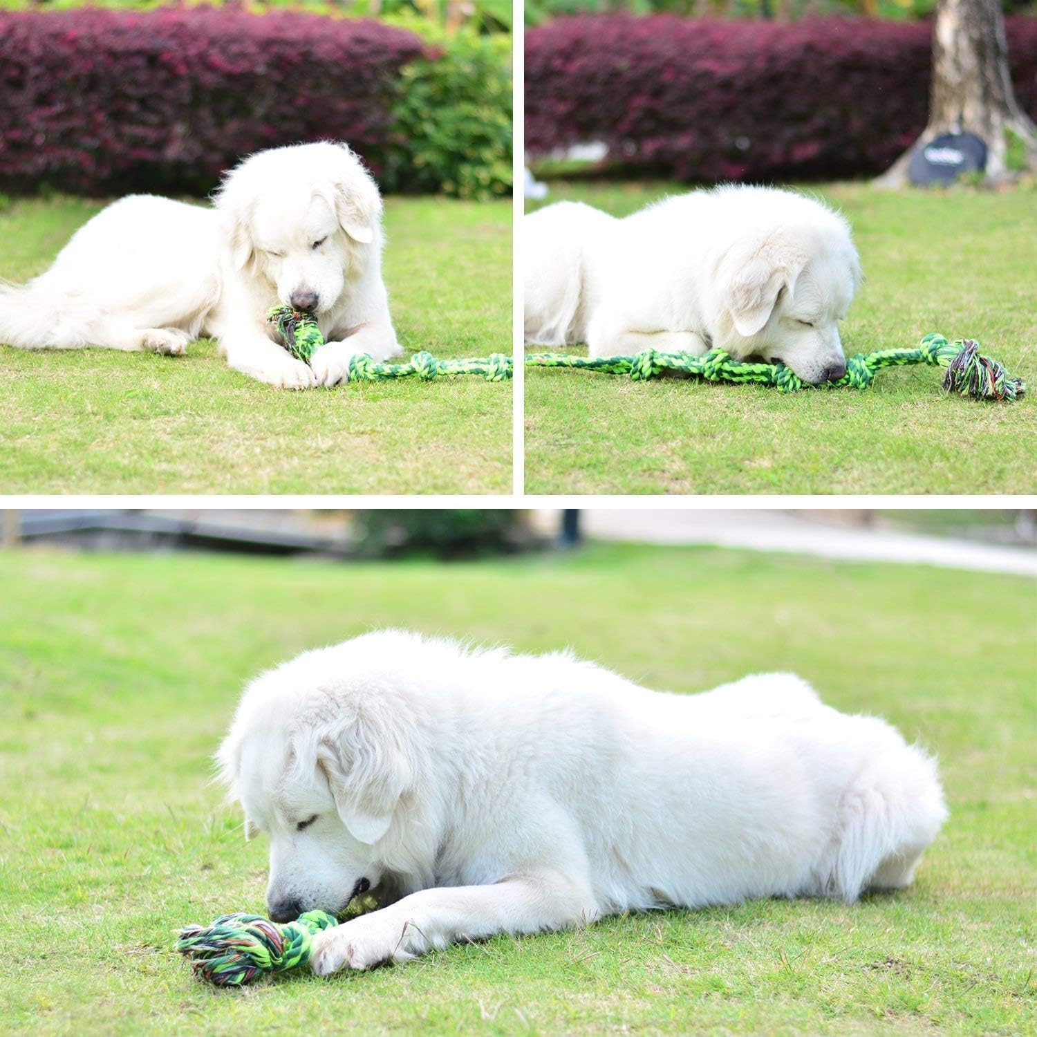 Thumbnail 4 de SHARLOVY 5-Knot Cotton Rope Tug Dog Toy (Extra Large, for Large & Aggressive Chewers)