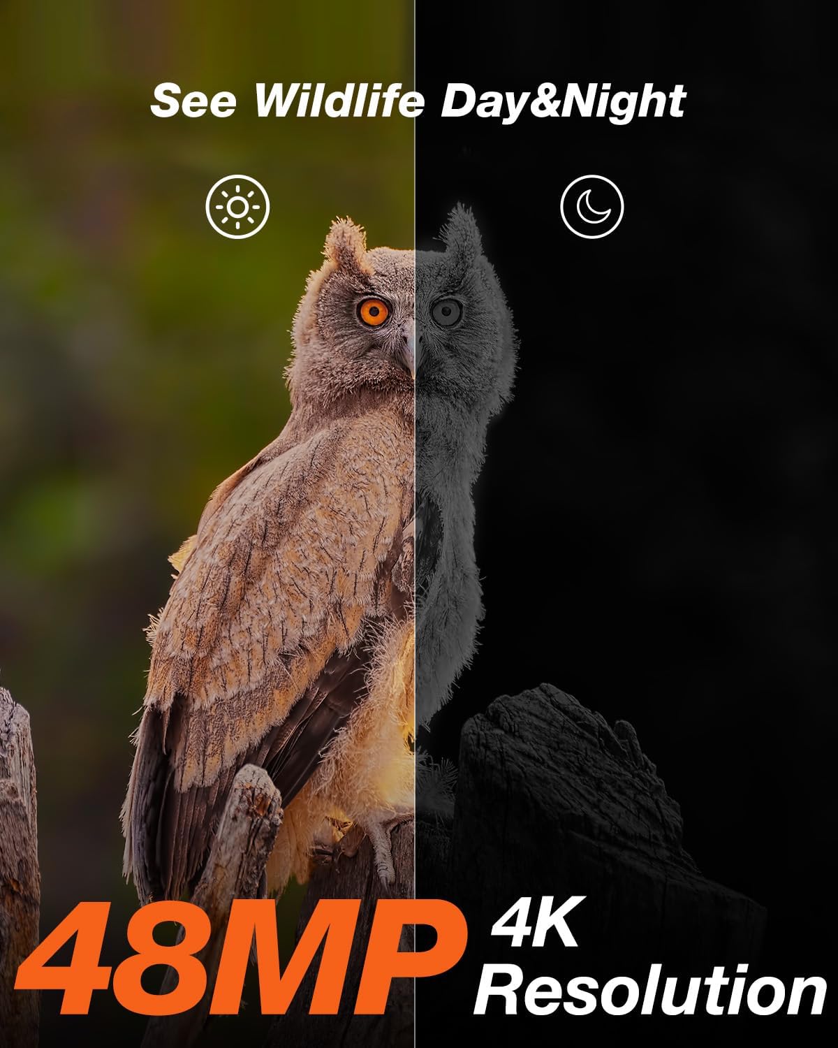 Detalle de iZEEKER iG220 wildcamera op zonne-energie met bewegingsdetectie en IP66