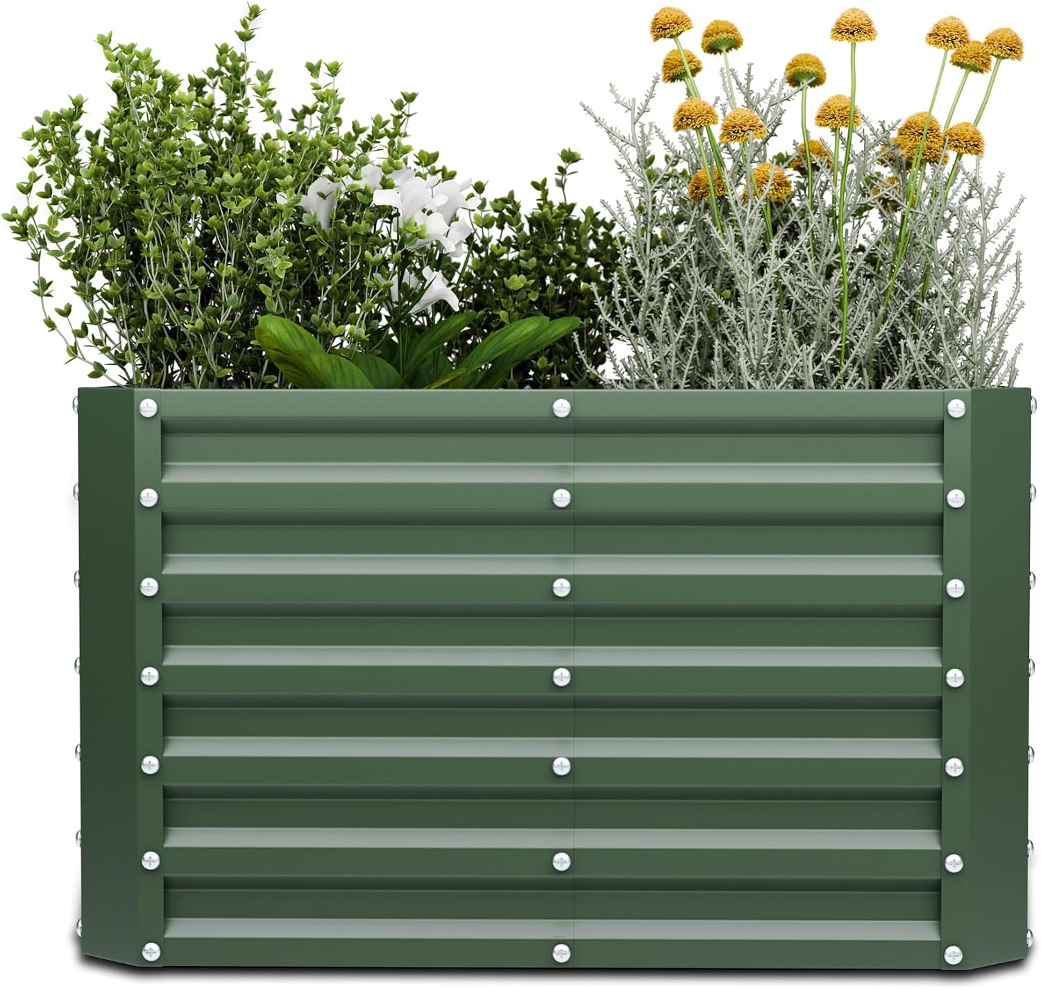 Detalle de Blumfeldt High Grow Straight verhoogde moestuin, 600 l in Galvalume-staal