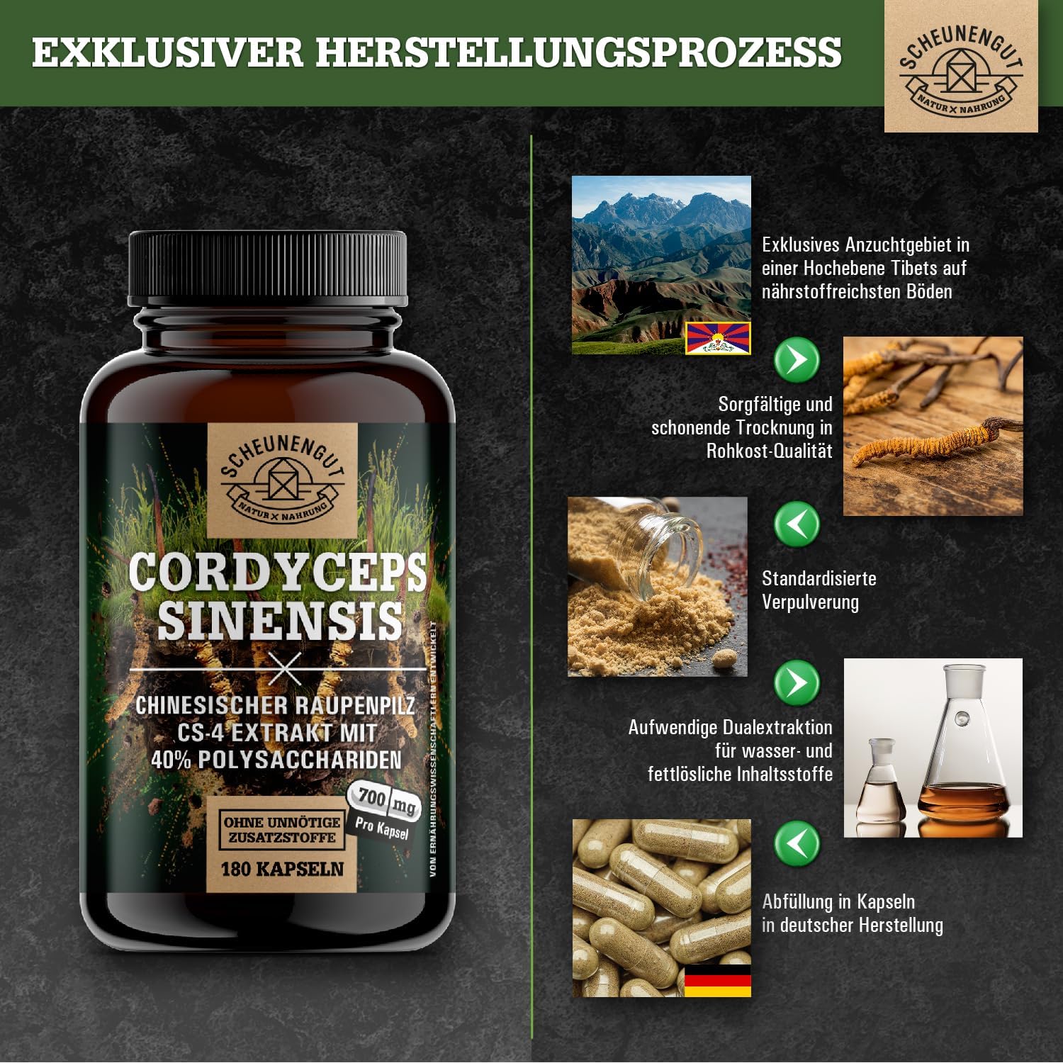 Thumbnail 1 de Cordyceps 1400 mg (10:1 Extrakt) – 40% bioaktive Polysaccharide, vegan – DE SCHEUNENGUT®