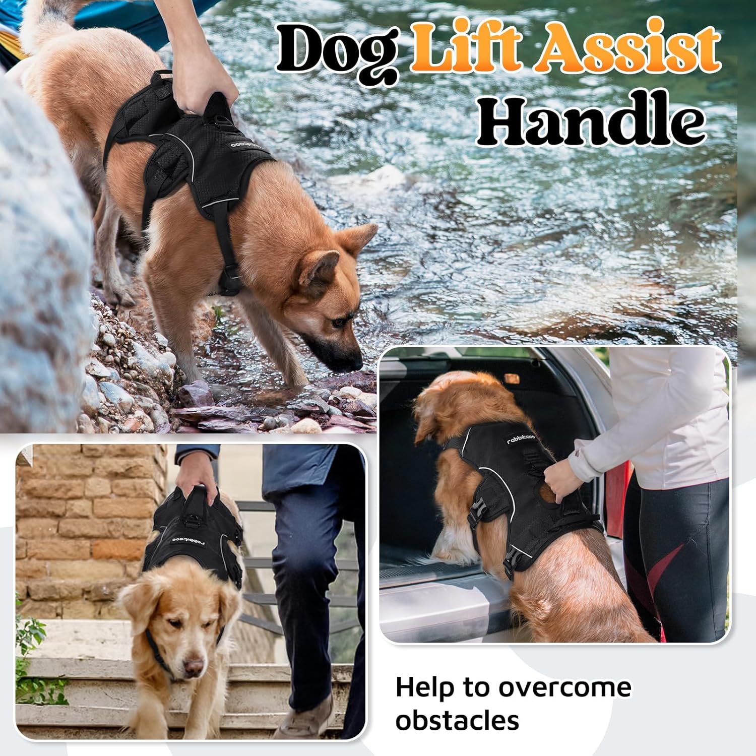 Detalle 2 de rabbitgoo dog harness with escape-proof fit